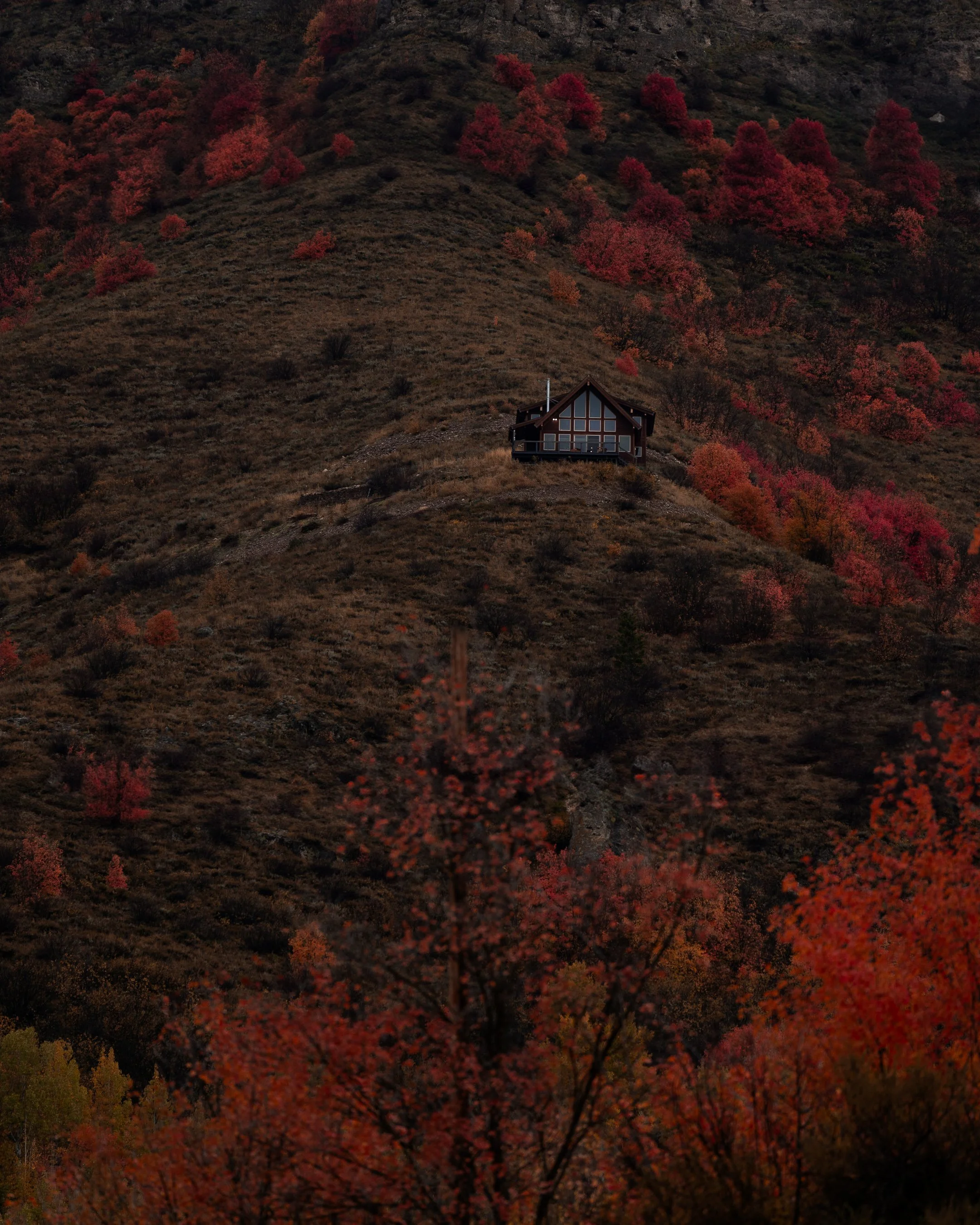 A7302210-Edit-4.jpg