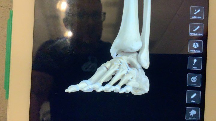 Quick bit of trivia for you&hellip; 

Q: how many bones and joints in the foot?

A: 26 bones, 33 joints, add in over a 100 muscles, ligaments and tendons we have quite the complex structure&hellip; consequently, if it all doesn&rsquo;t work together 