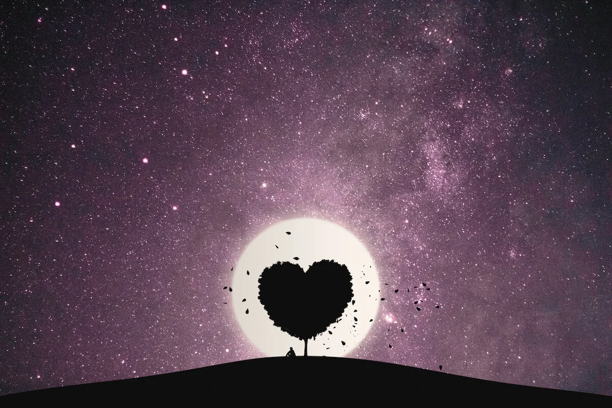 Alone on Valentine's Day?