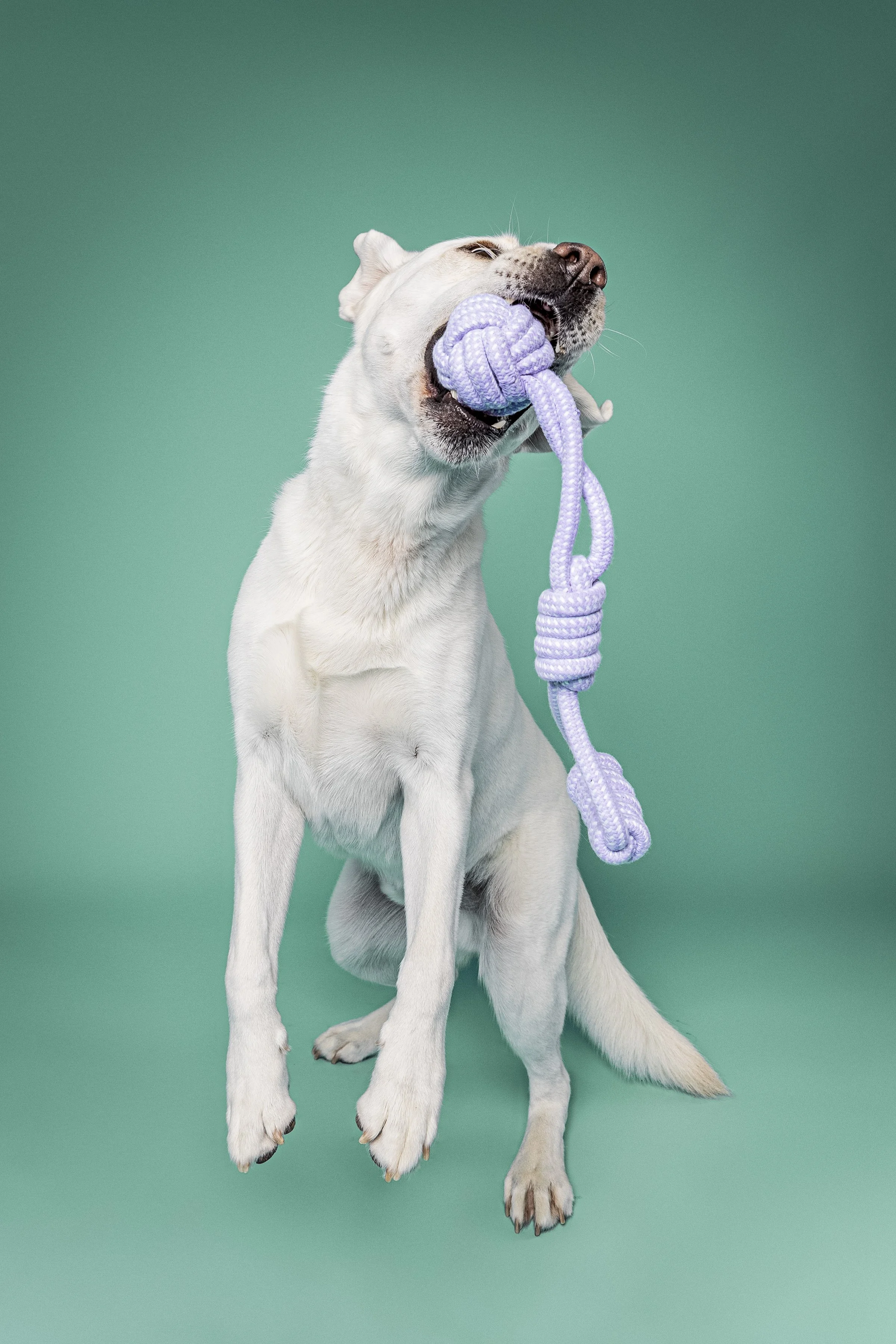 Missyandme_Comet-12.jpg