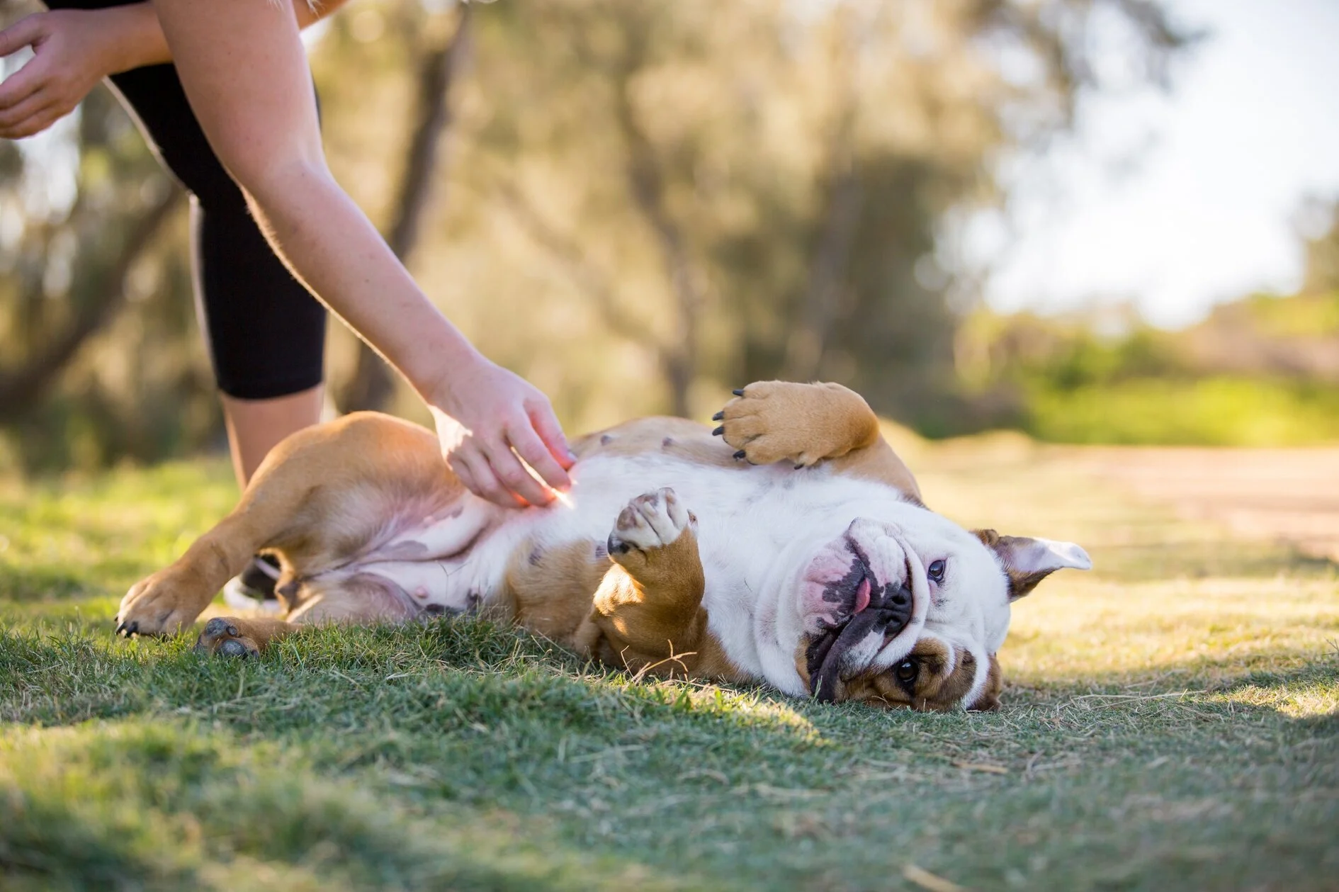 MissyandMePhotography_Dora-1.jpg
