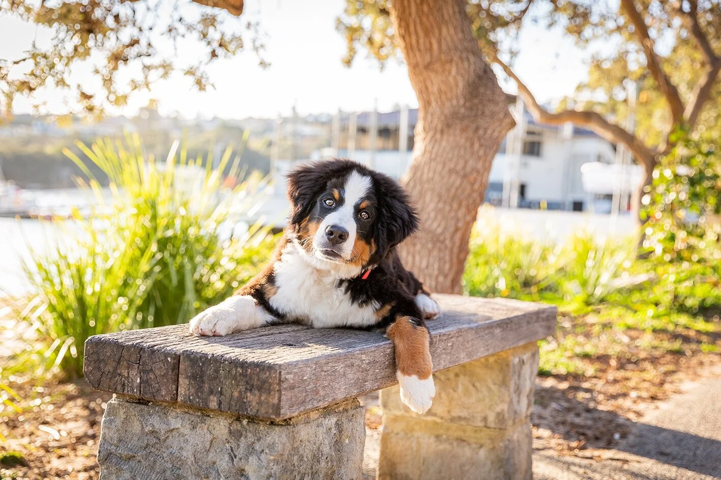 MissyandmePhotography_Maisy-51.jpg
