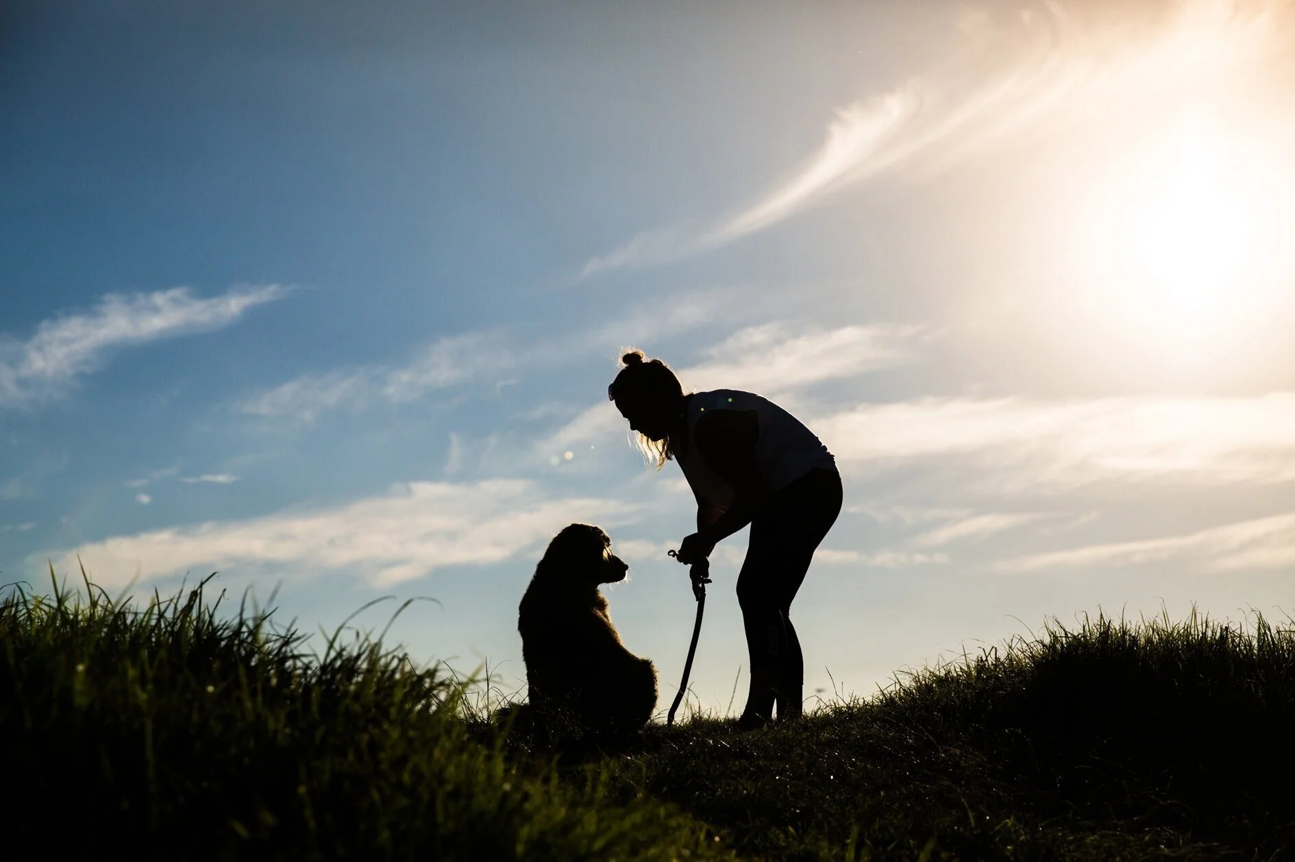 MissyandMePhotography_Samson-1.jpg
