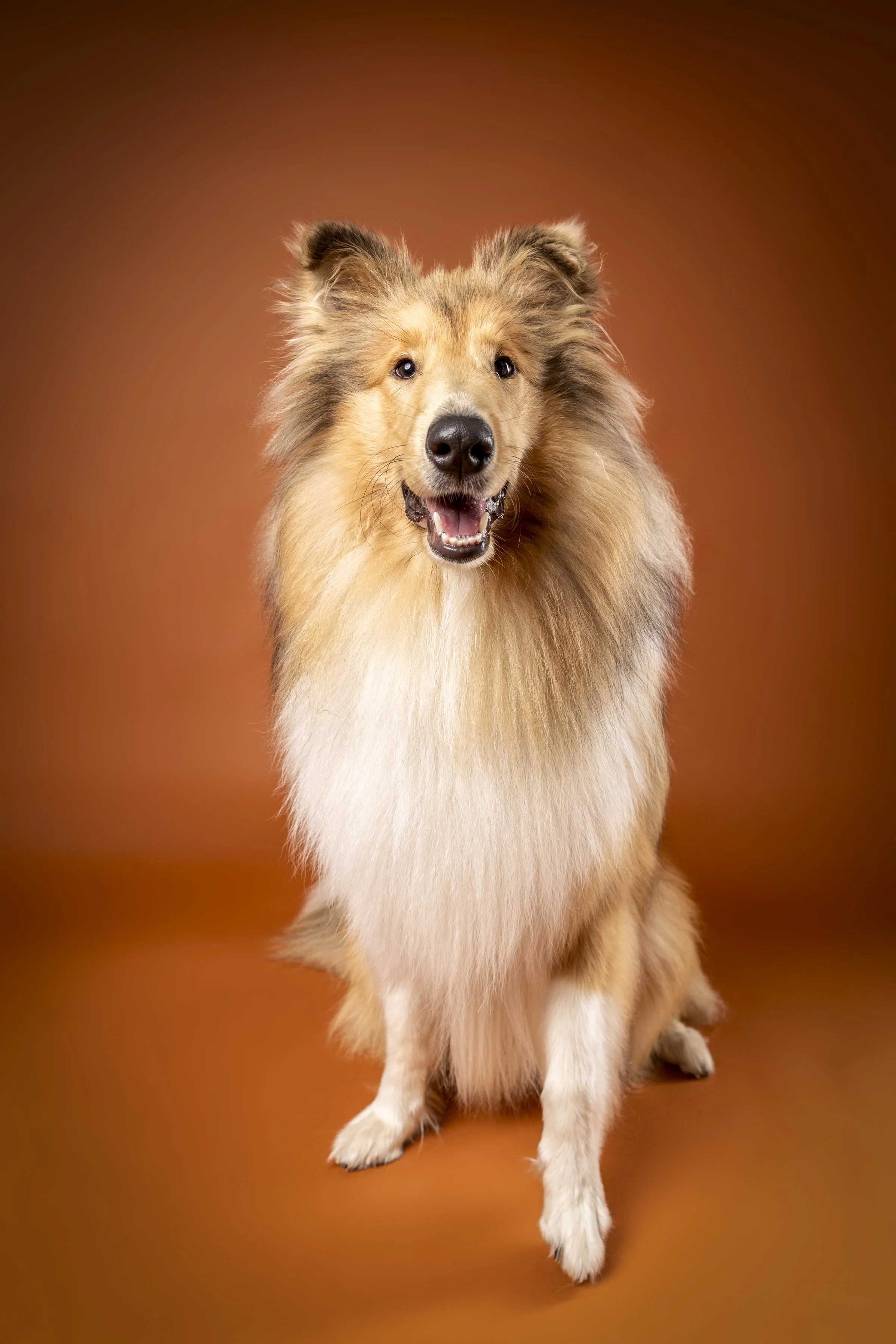 MissyandMe_Jura-26.jpg