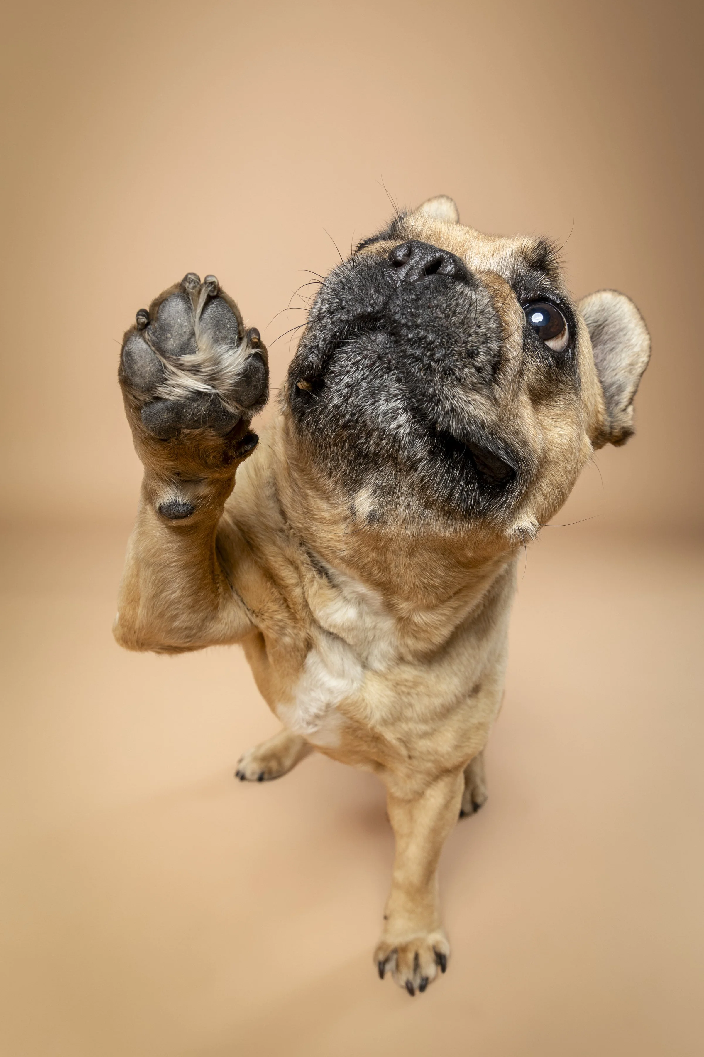 Missyandme_Biaggi_Peppi_Pip-15.jpg