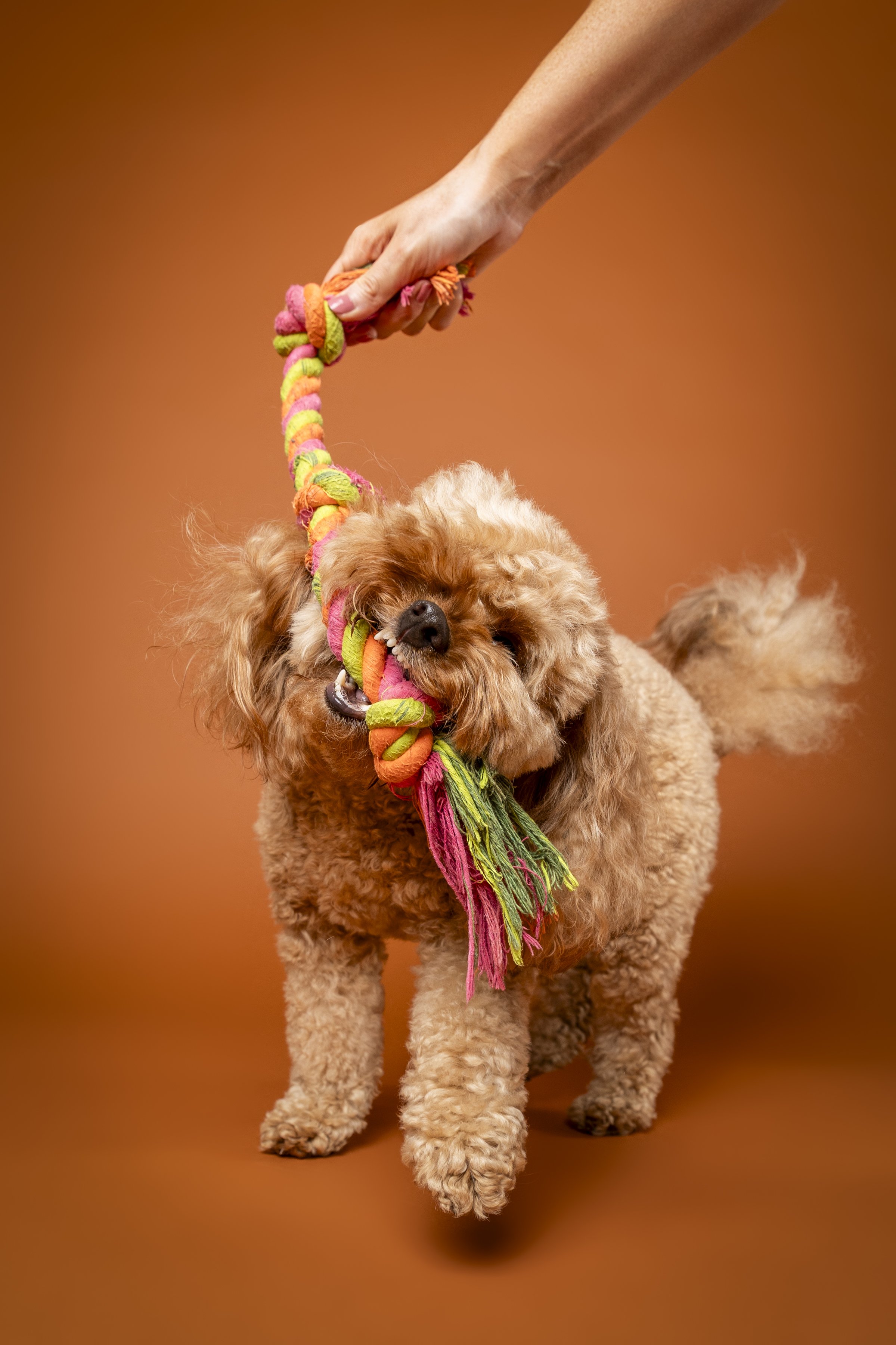 MissyandmePhotography_Sarah Burling-12.jpg