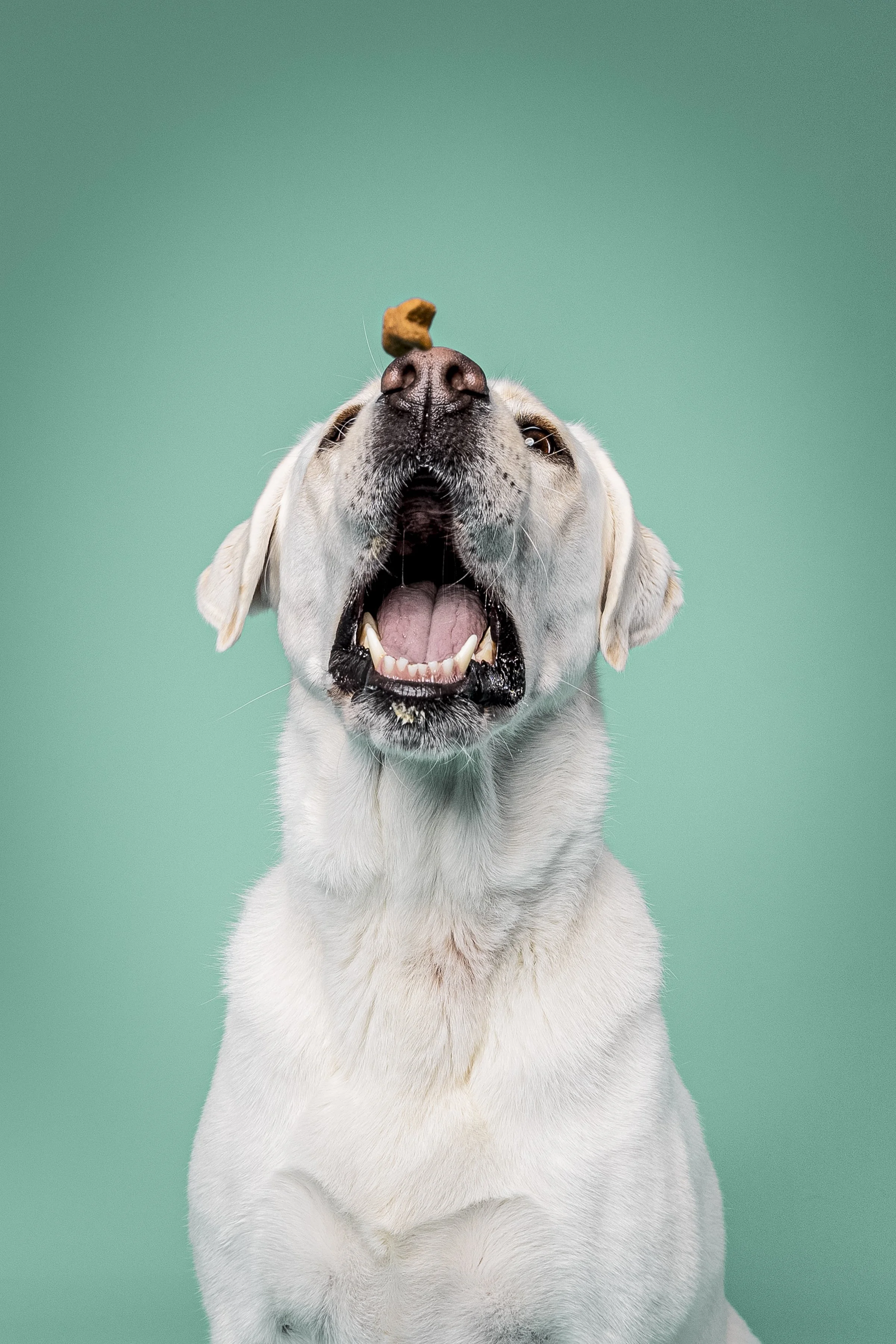 Missyandme_Comet-27.jpg