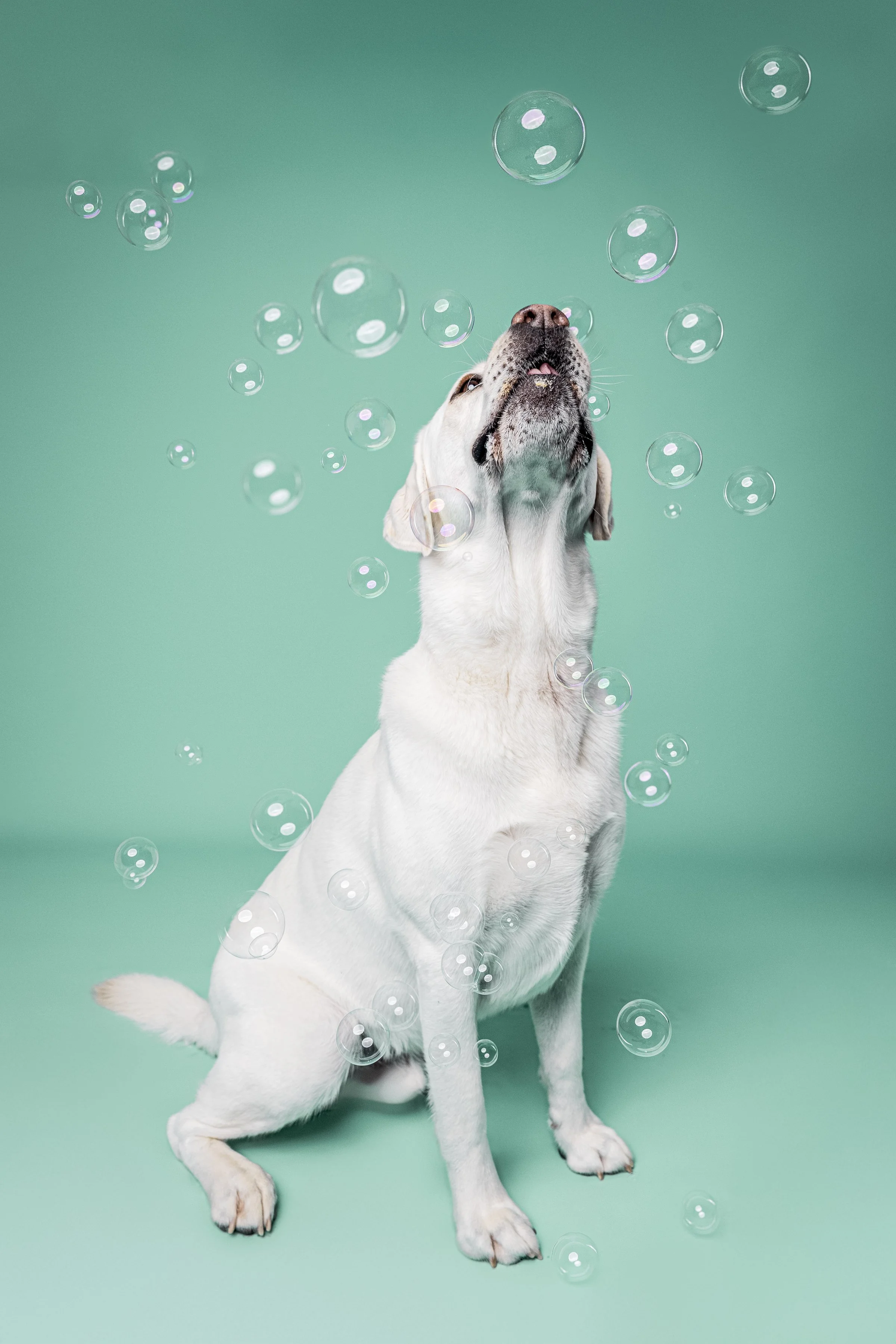 Missyandme_Comet-28.jpg