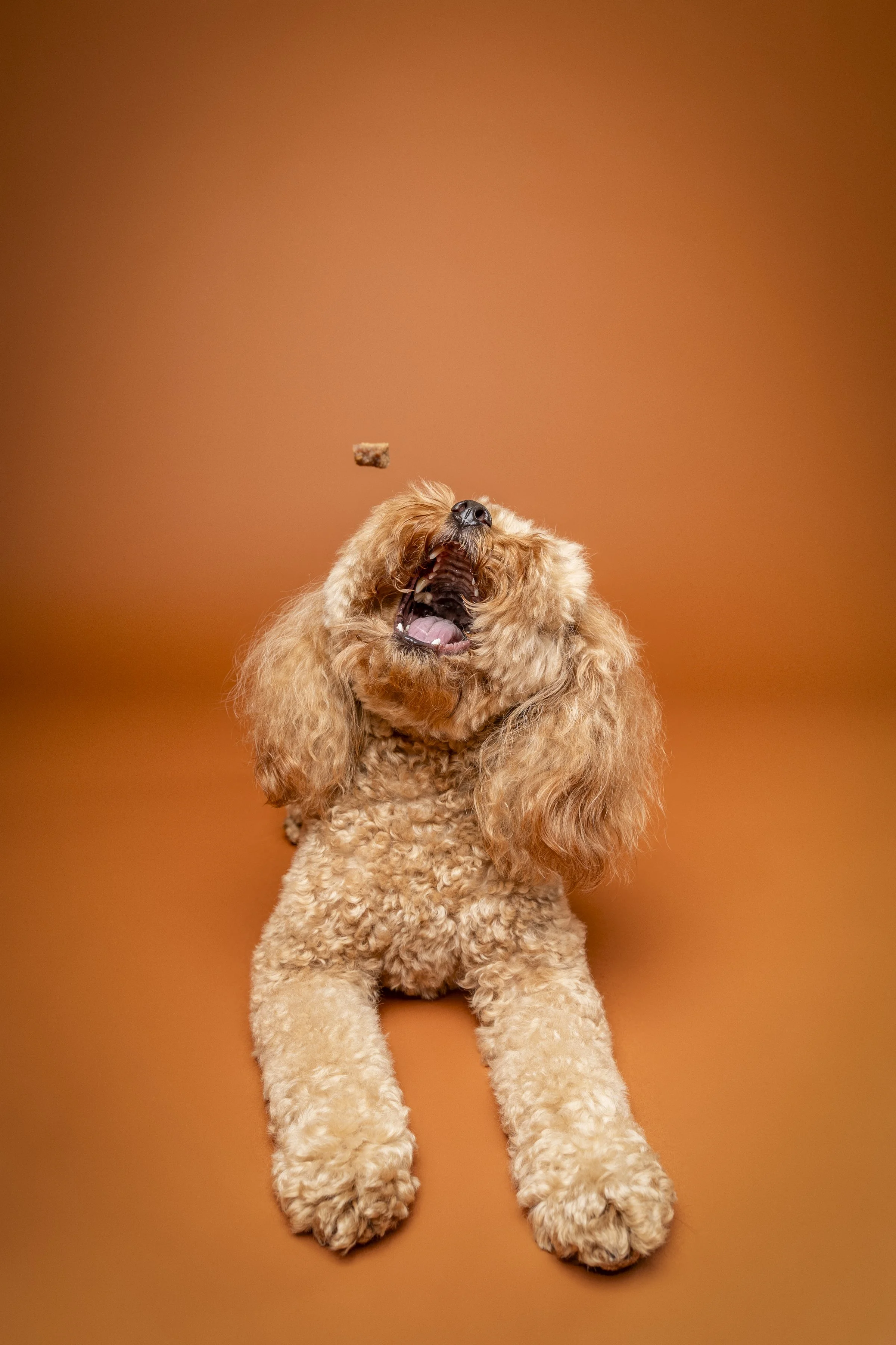 MissyandmePhotography_Sarah Burling-15.jpg