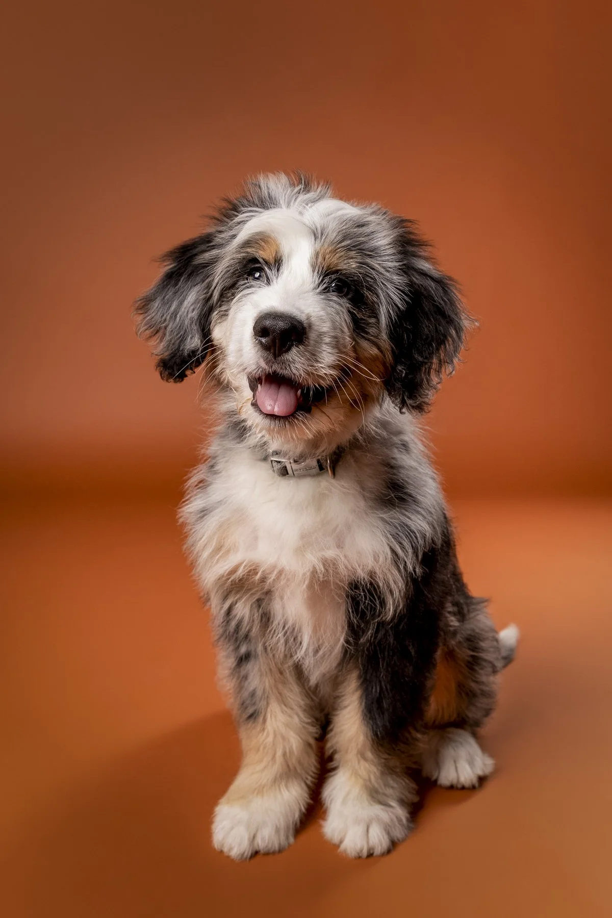 Otis-39.jpg