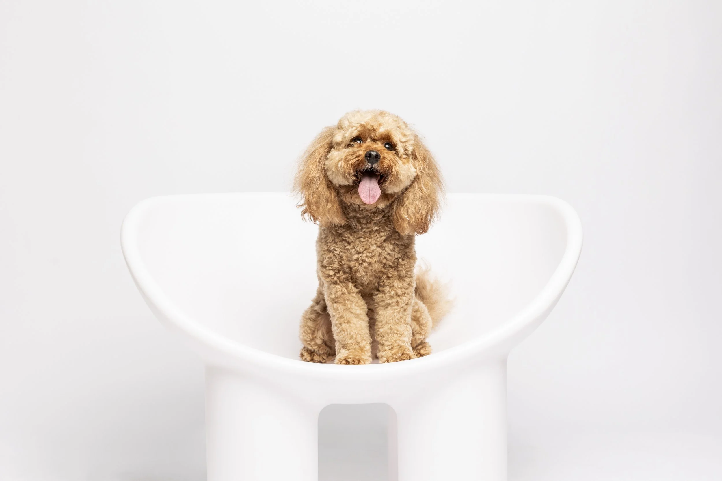 MissyandmePhotography_Sarah Burling-1.jpg