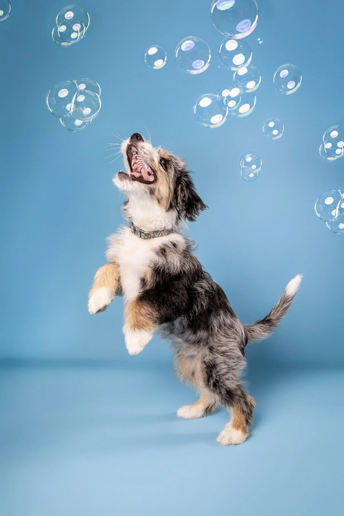 Otis-22.jpg
