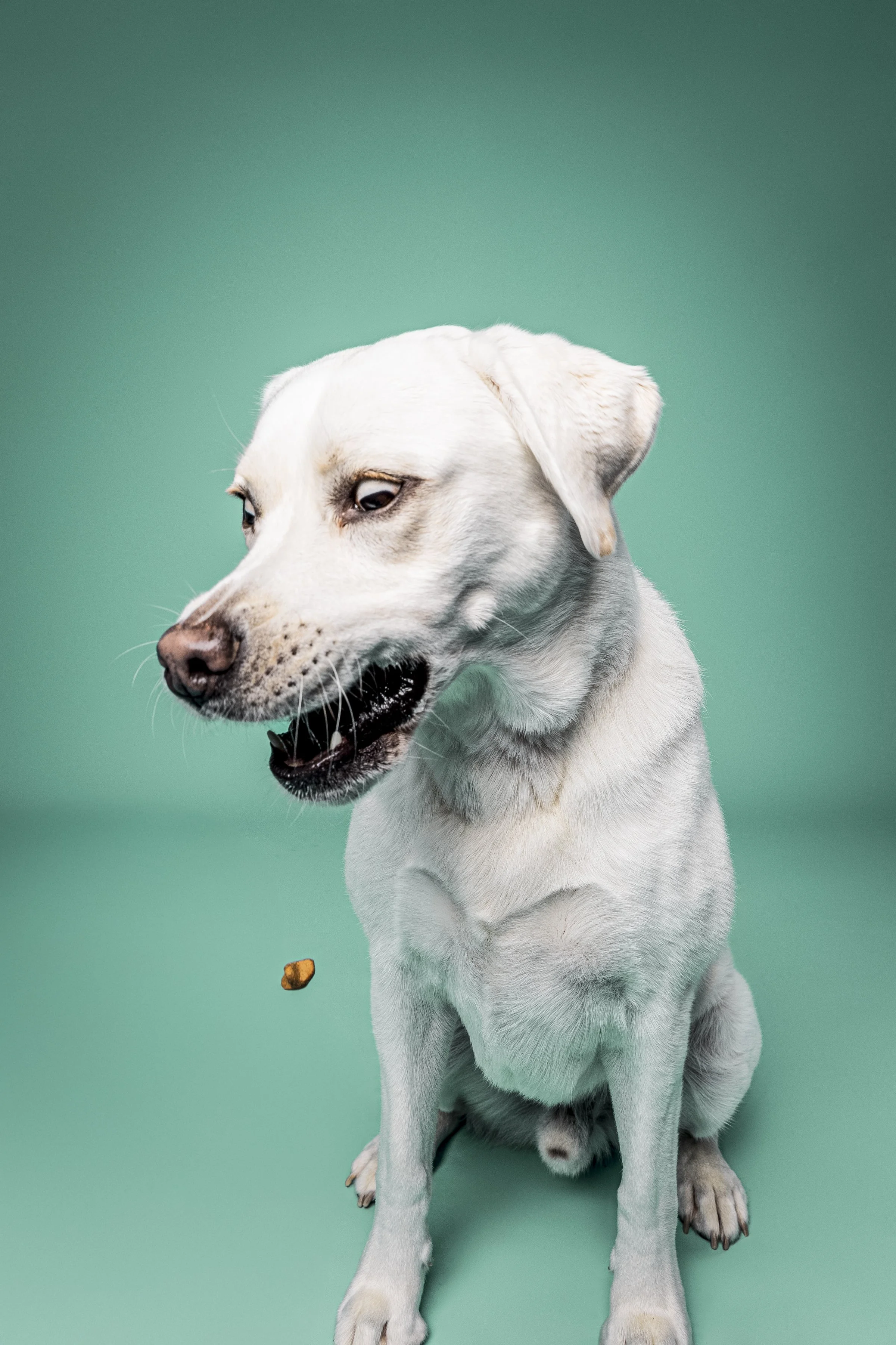 Missyandme_Comet-9.jpg