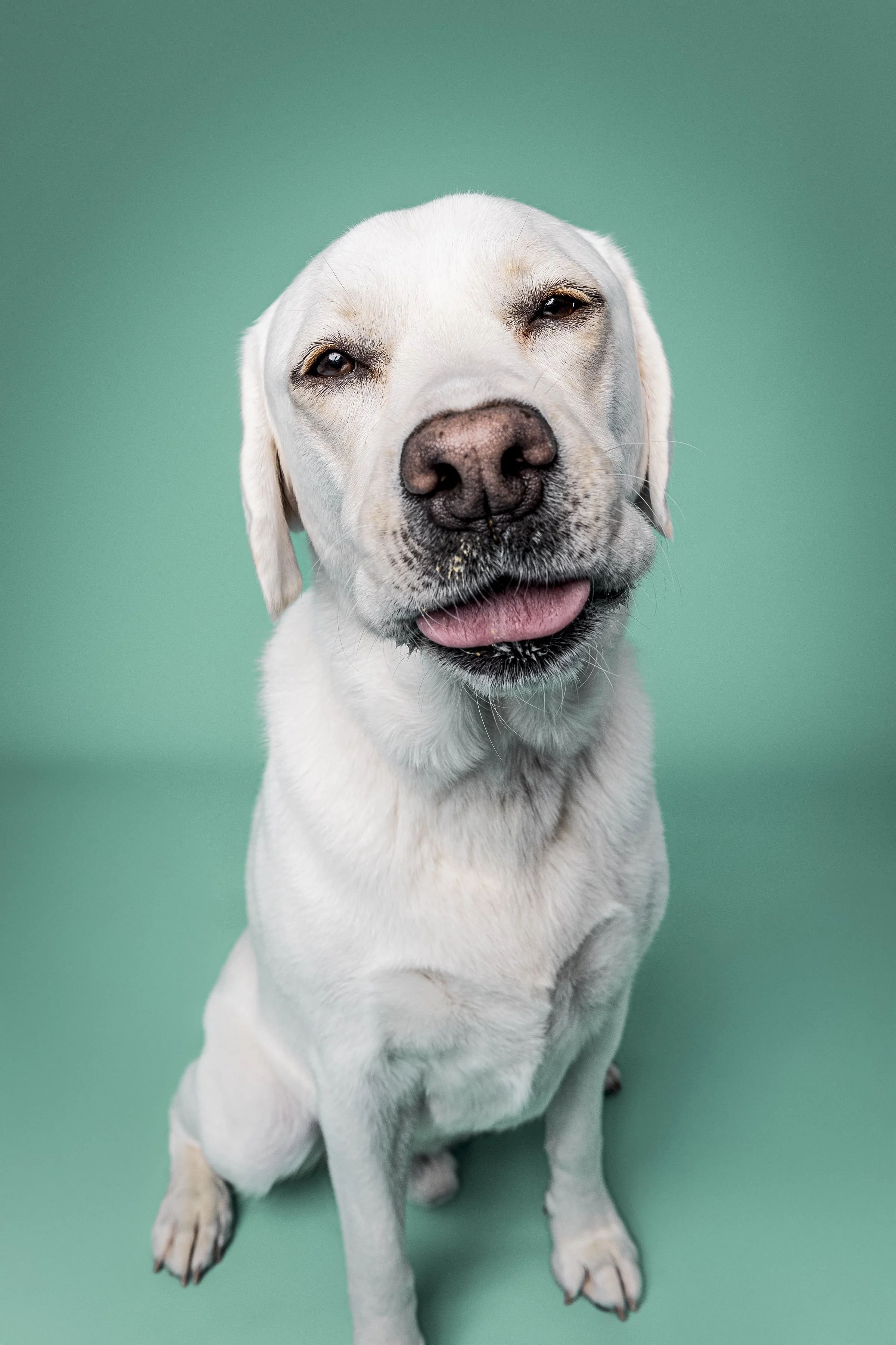 Missyandme_Comet-20.jpg