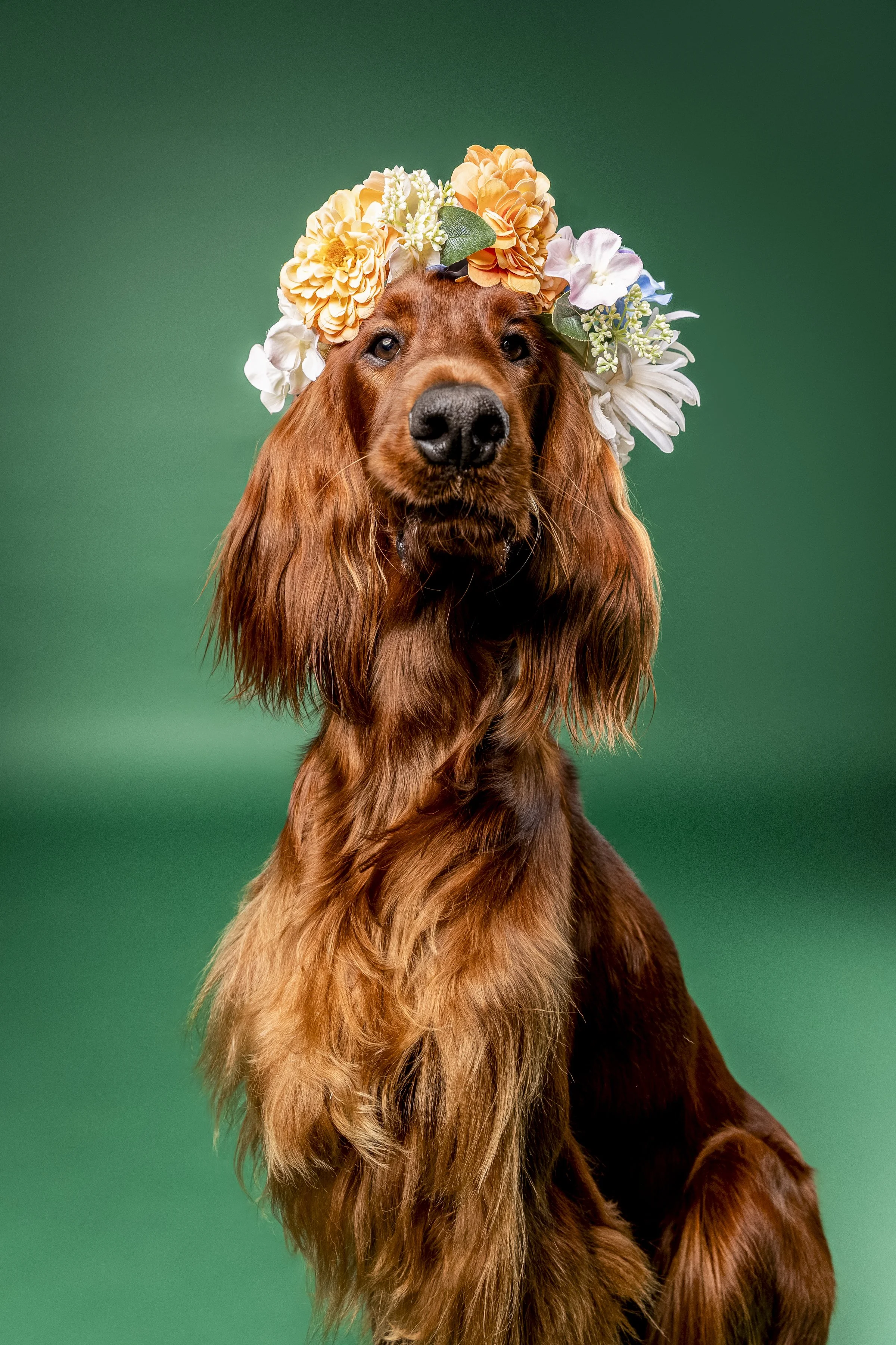 Missyandme_Rua-8.jpg