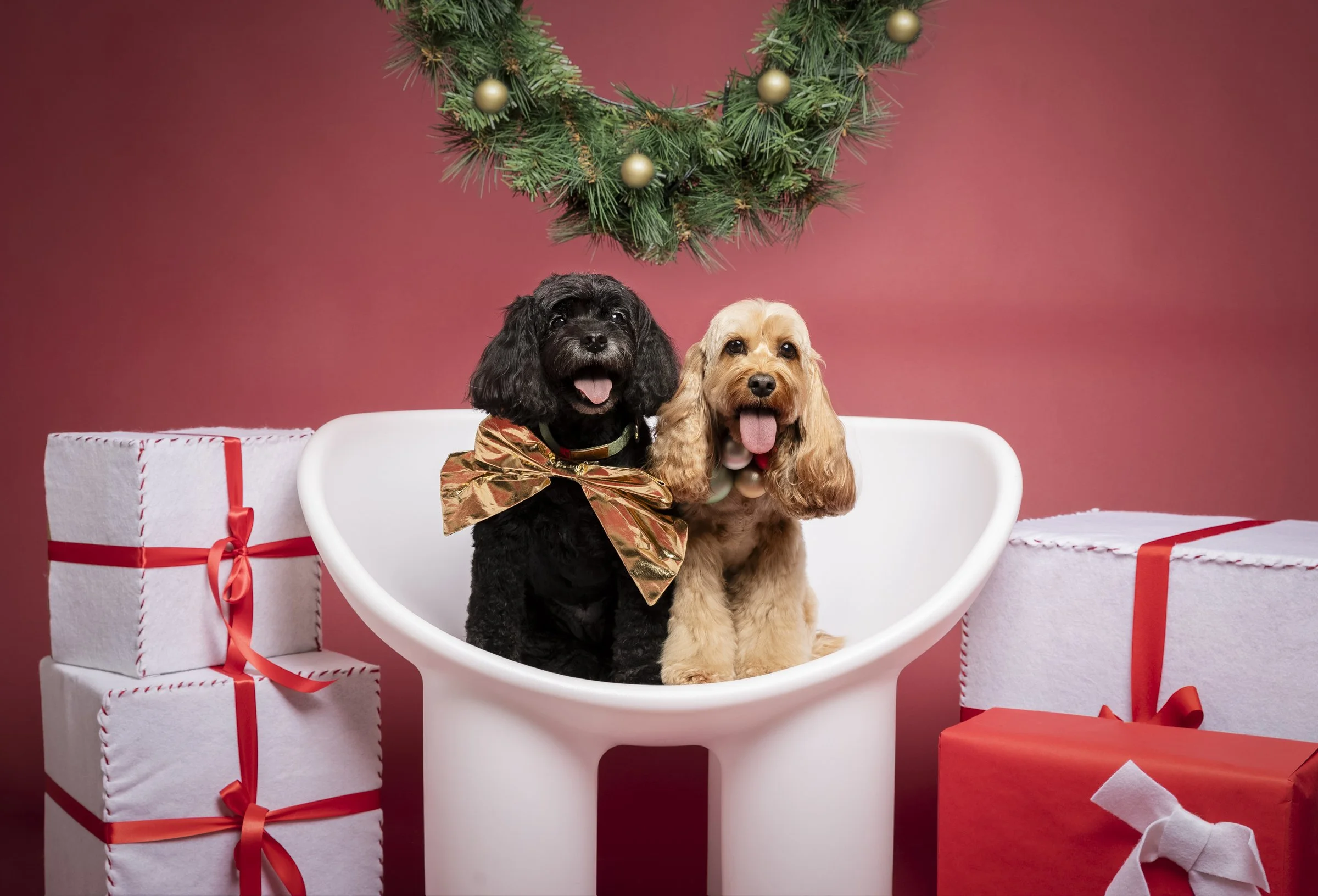 Xmas Pop Up Promo-5.jpg