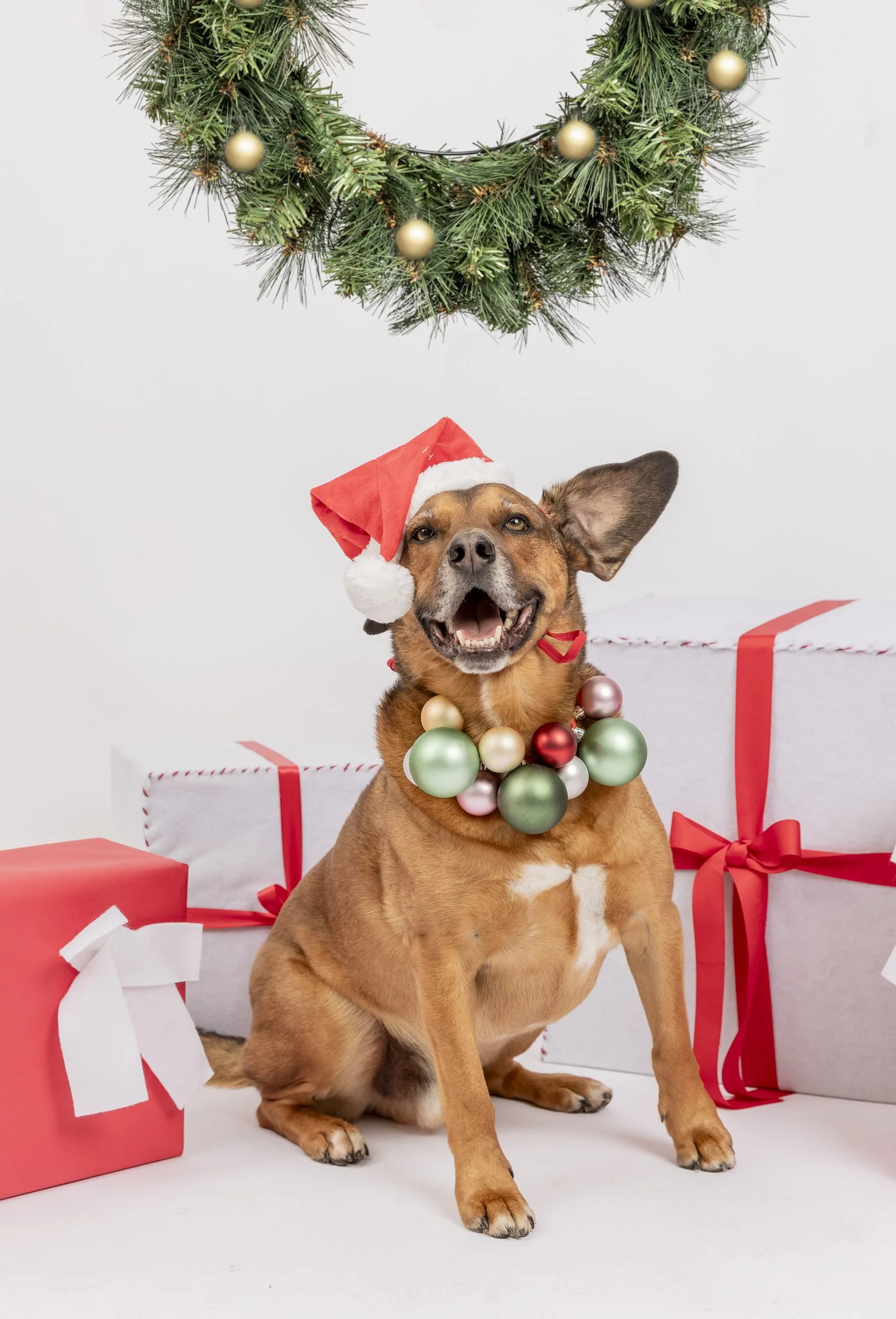 Xmas Pop Up Promo-6.jpg