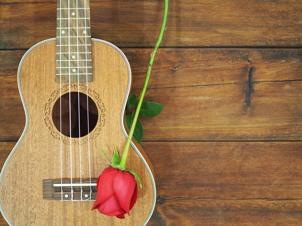 Uke & rose.jpeg