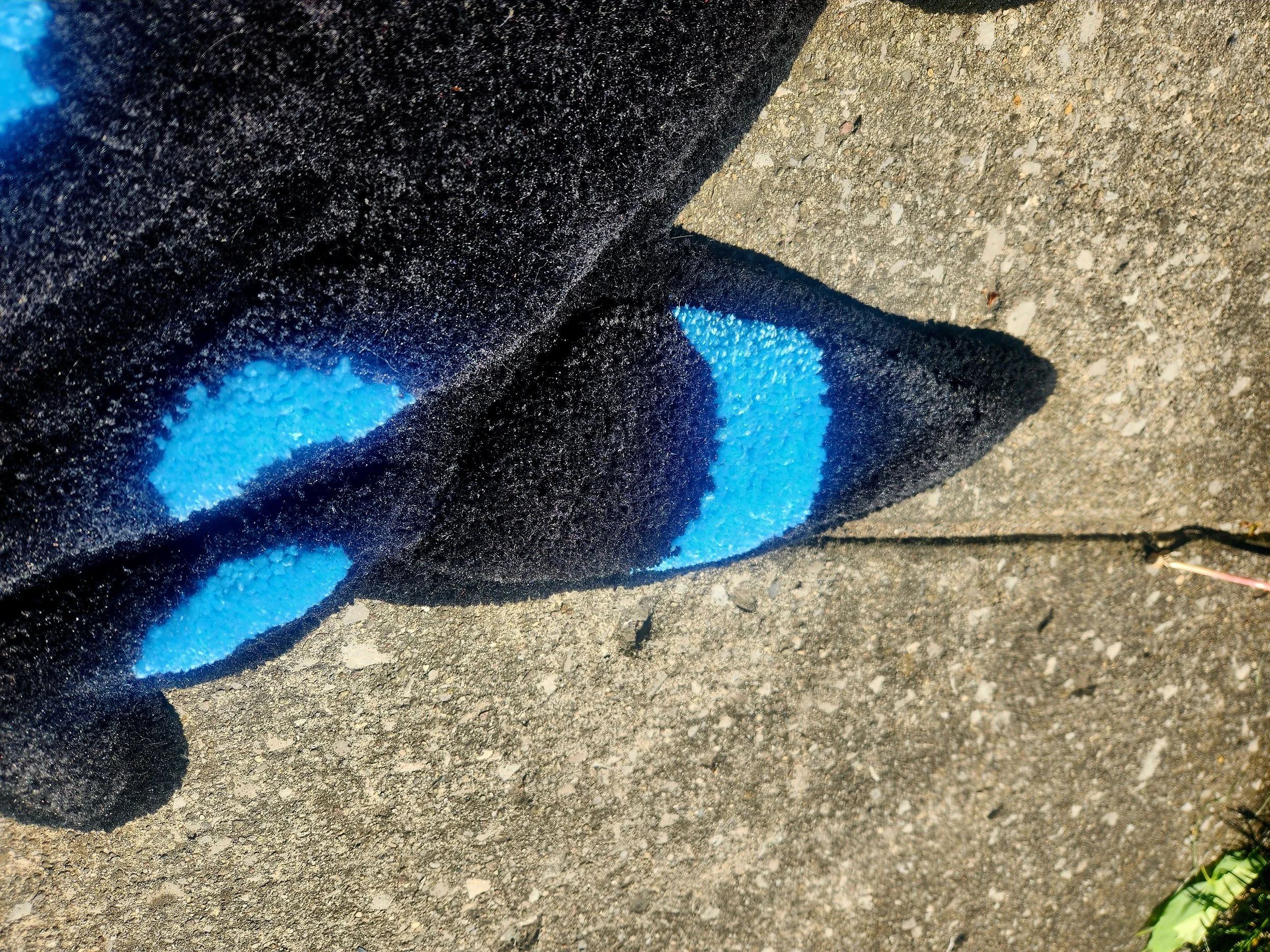 Shiny Umbreon 4.jpg