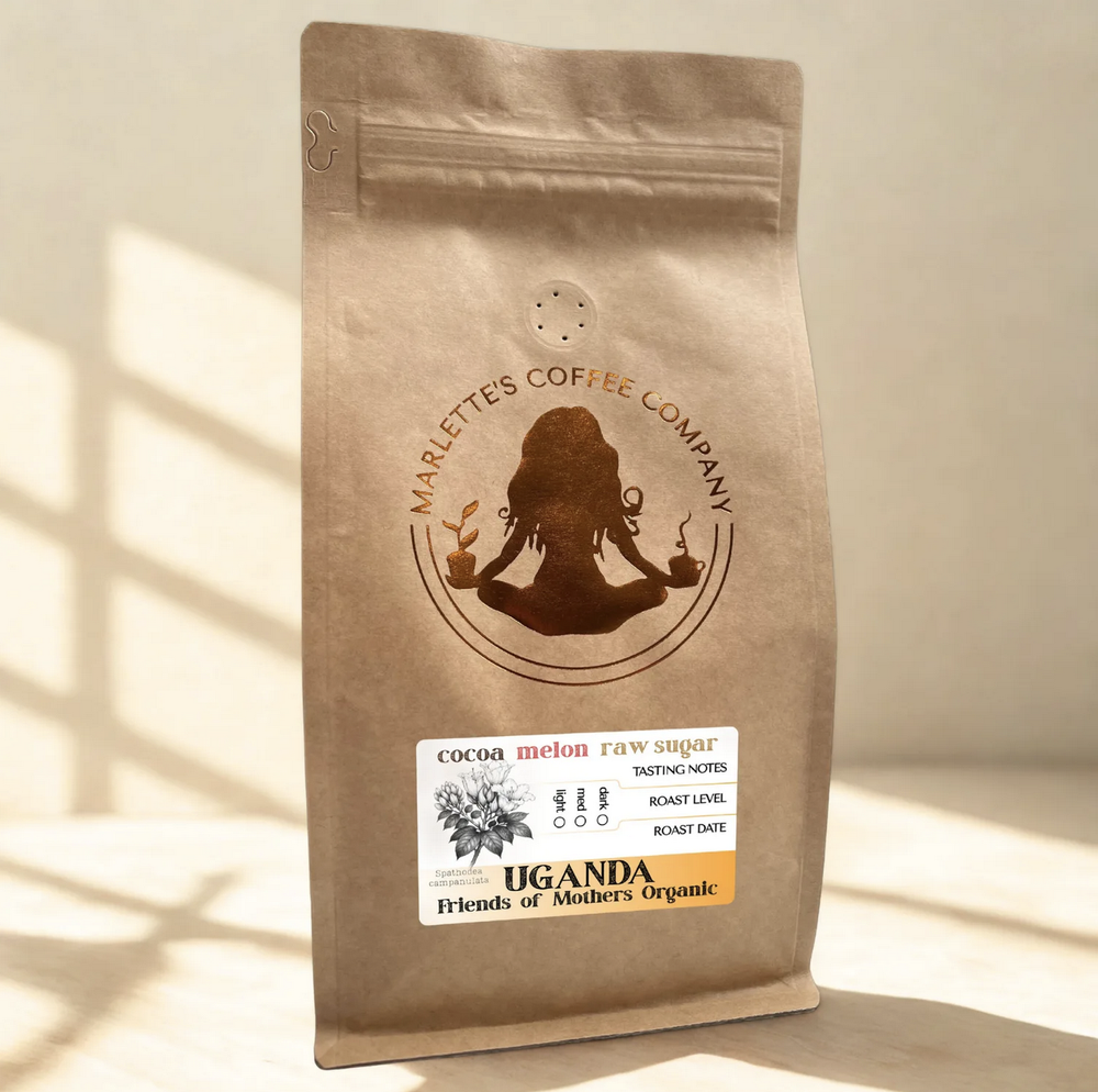 A bag of Marlette's Coffee in morning light