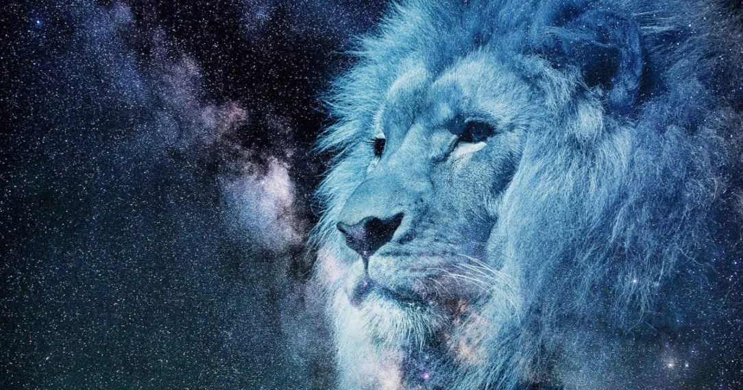Animals as Guides, Messengers and Healers:  Earth and Stars