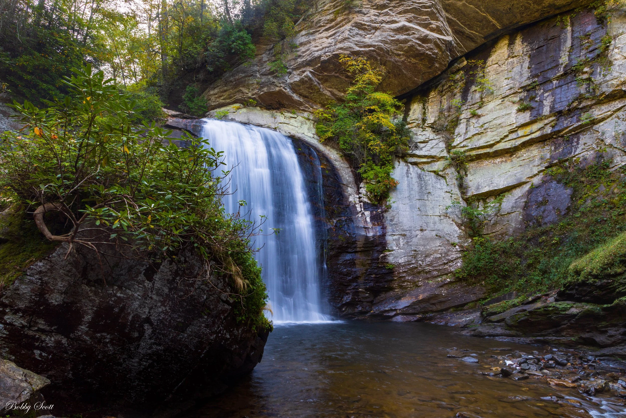 Looking Glass Falls.jpg