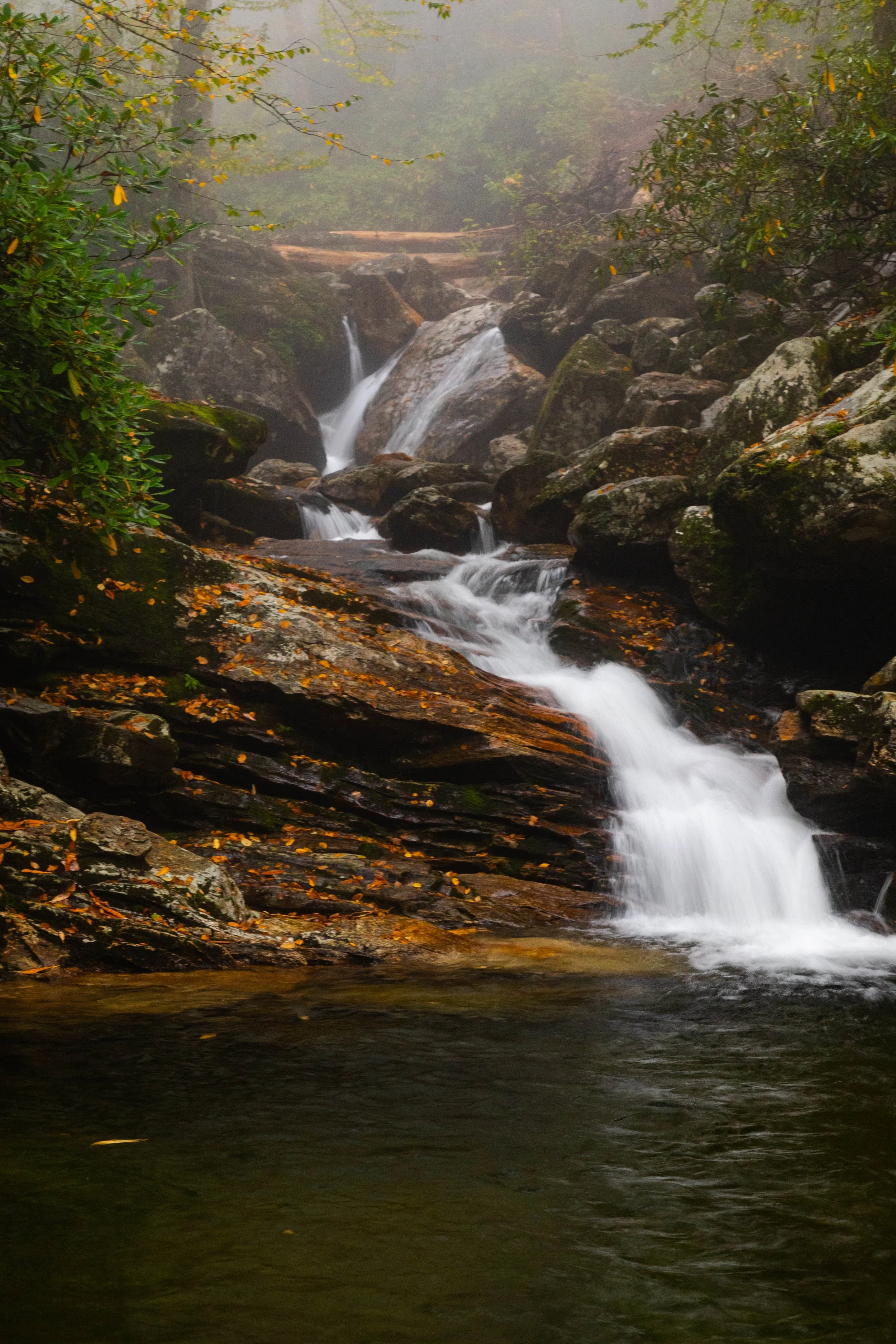 Skinny Dip Falls (3).jpg