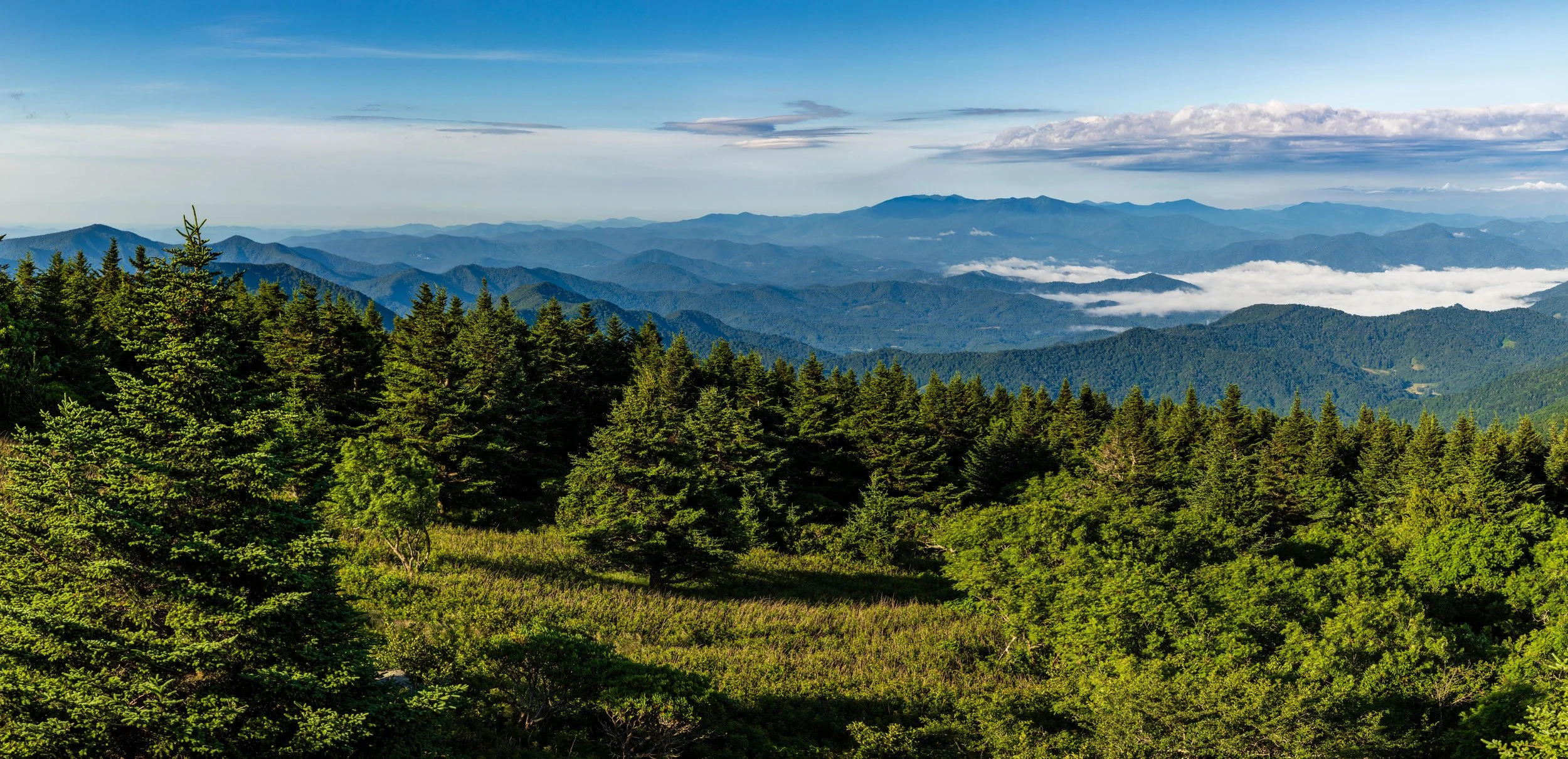 Grassy Ridge (1).jpg