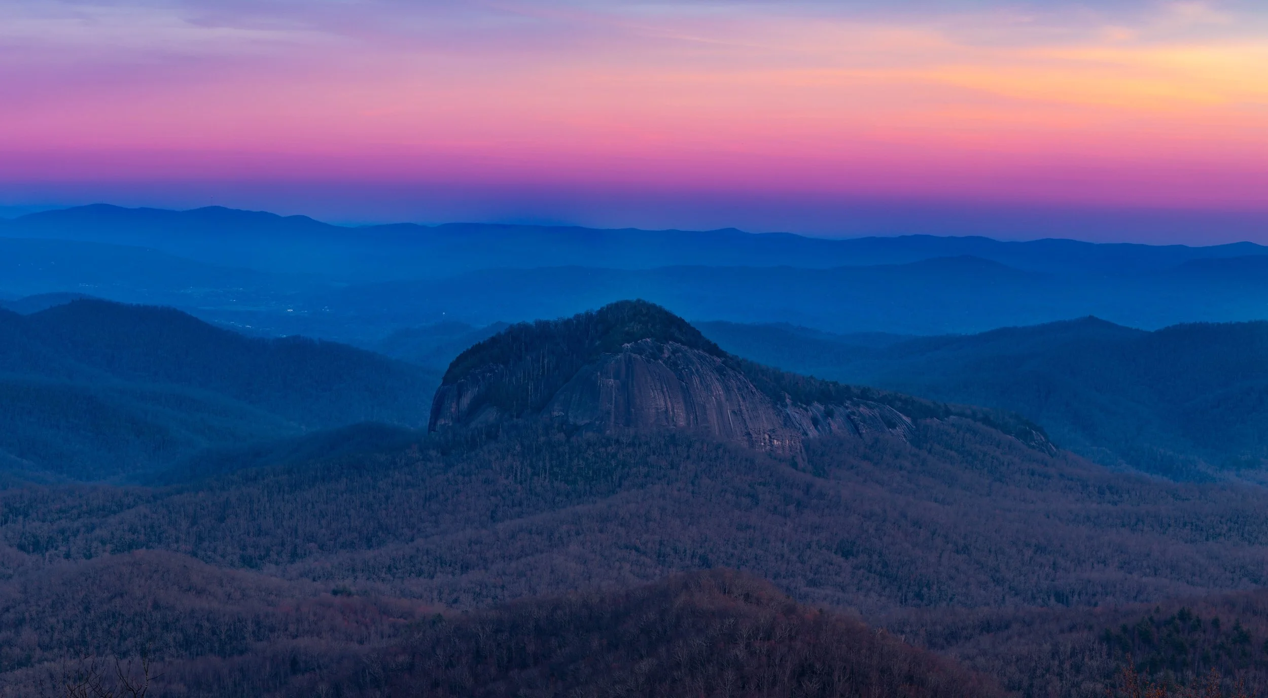 Looking Glass 2020 (2).jpg