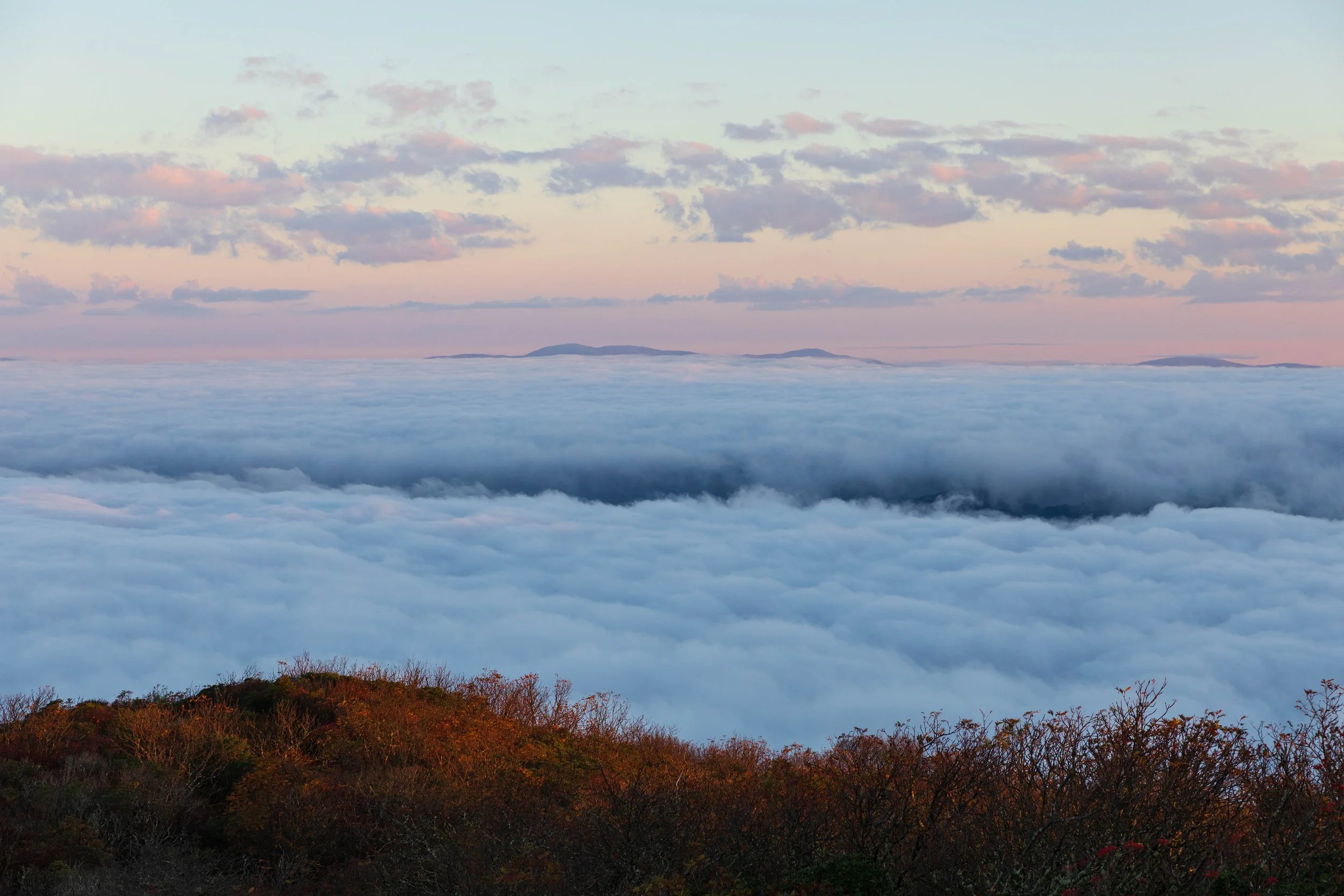 Foggy morning on Craggy Gradens (5).jpg