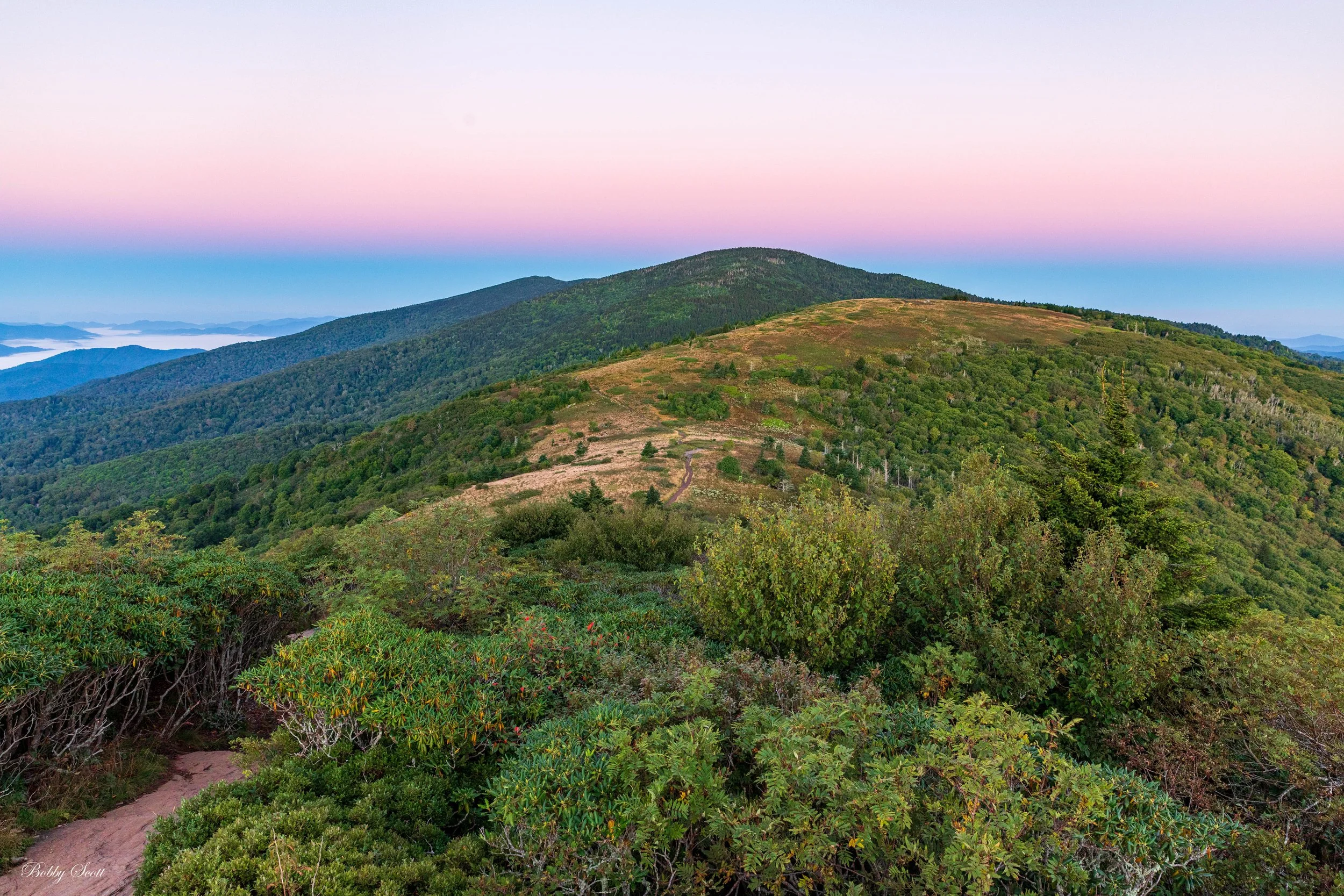 View of Roan Mtn.jpg