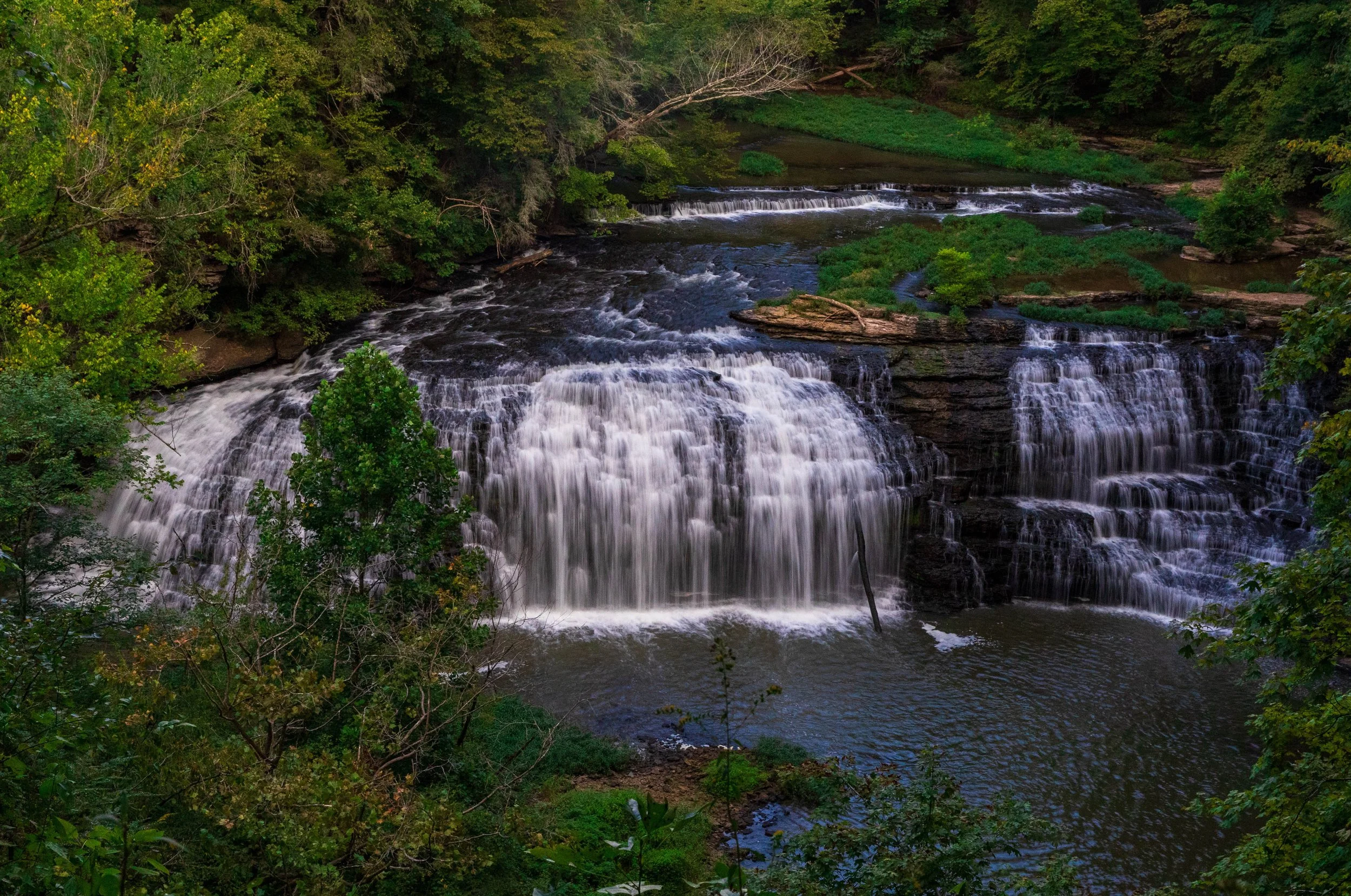 Trail to Burgess Falls Crop.jpg