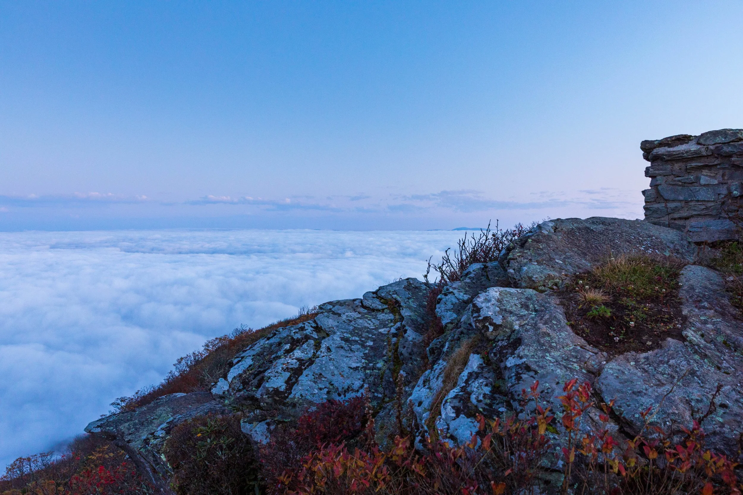 Foggy morning on Craggy Gradens (2).jpg