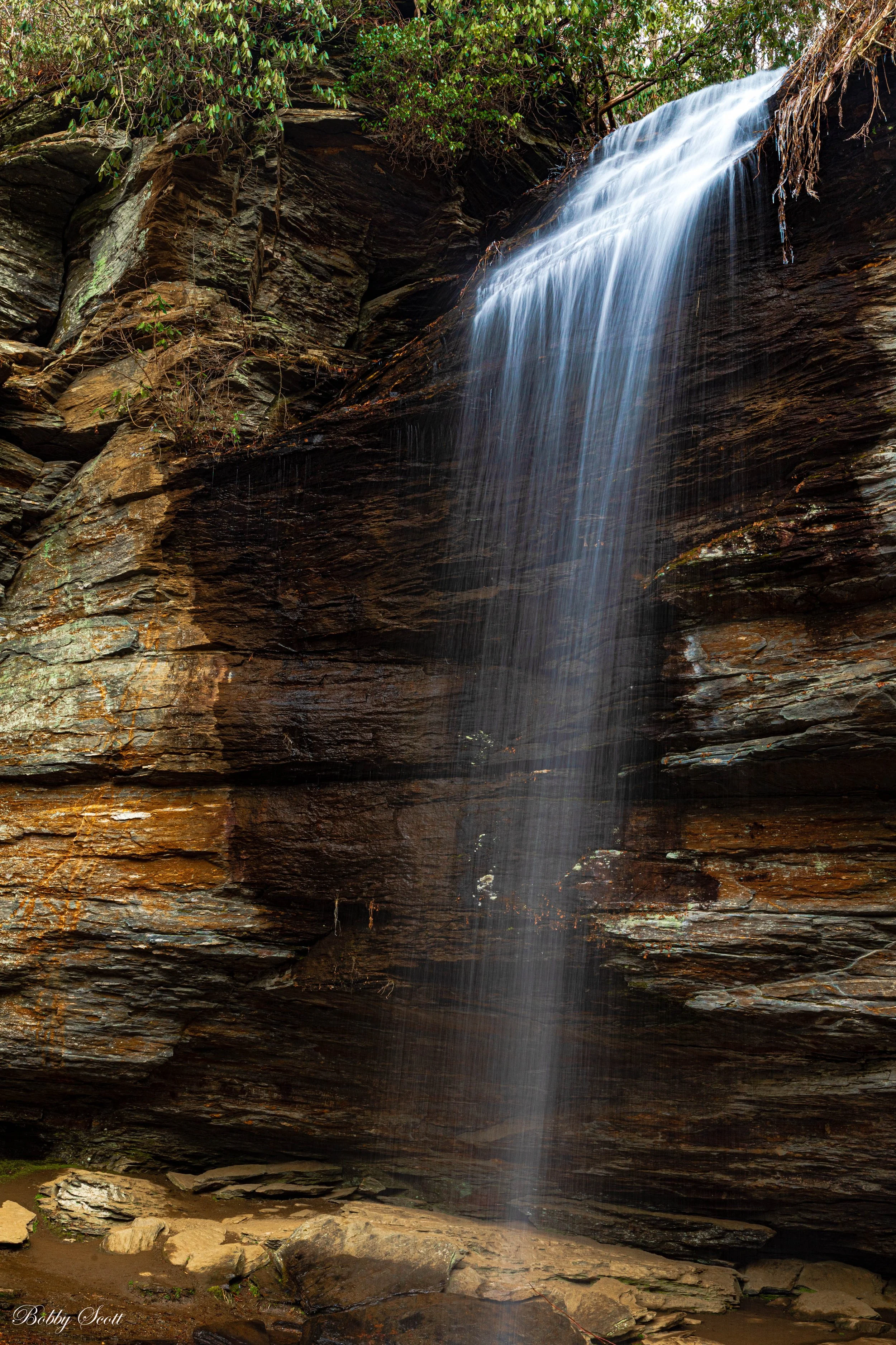 Moore Cove (2).jpg