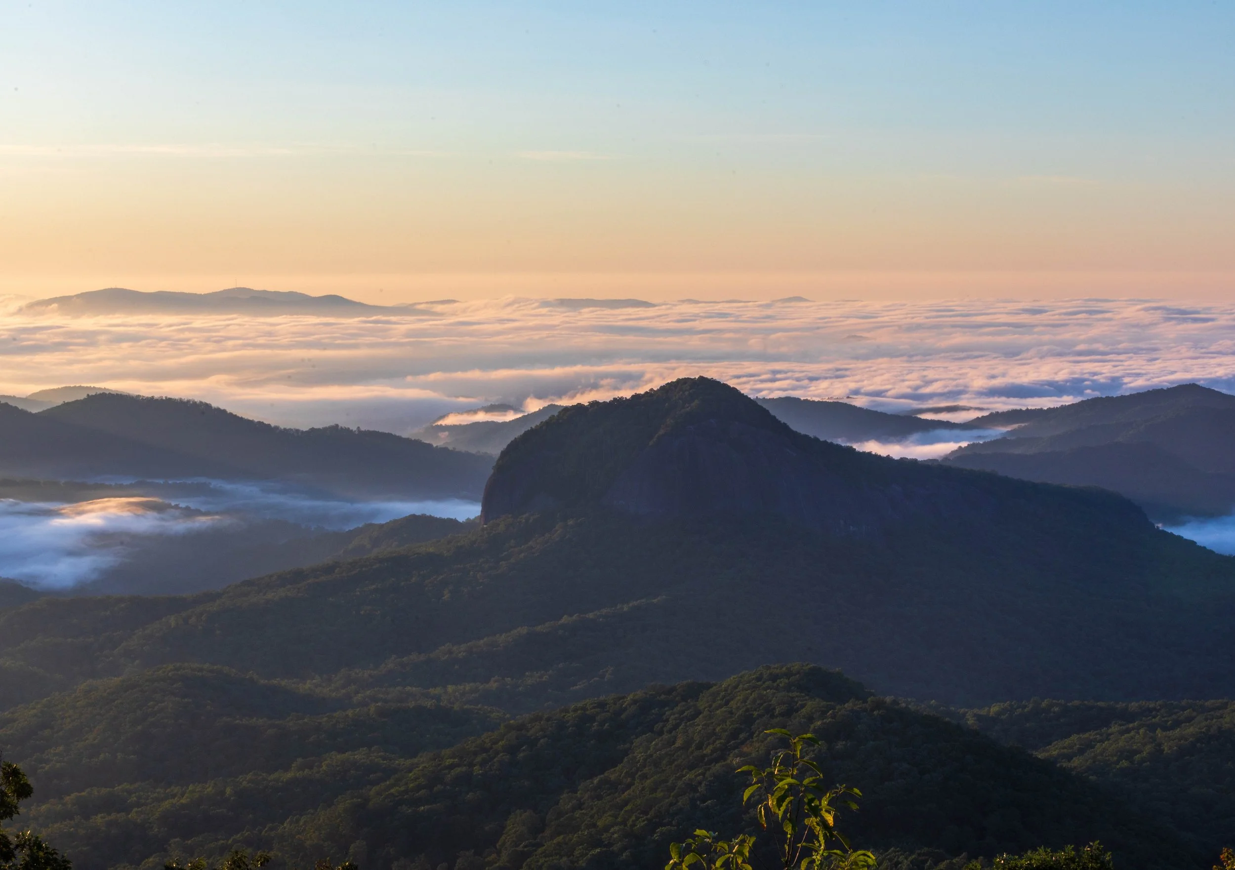 Looking Glass Rock 2026 (4).jpg