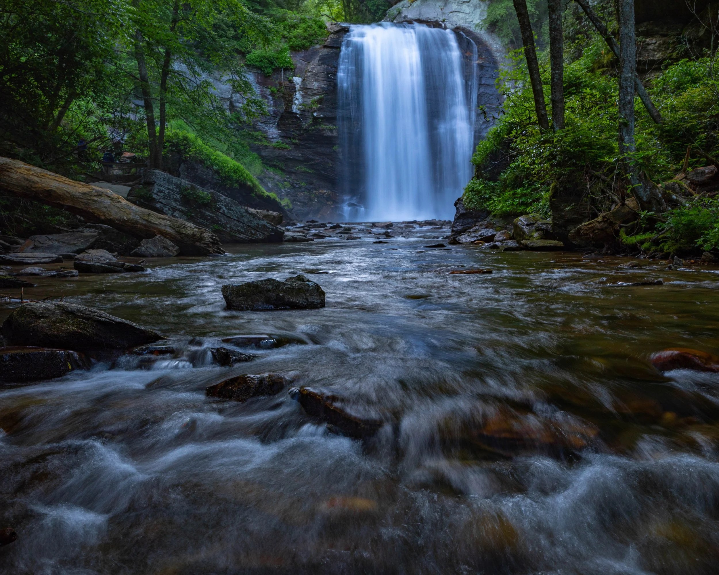 Looking Glass Falls 2019.jpg