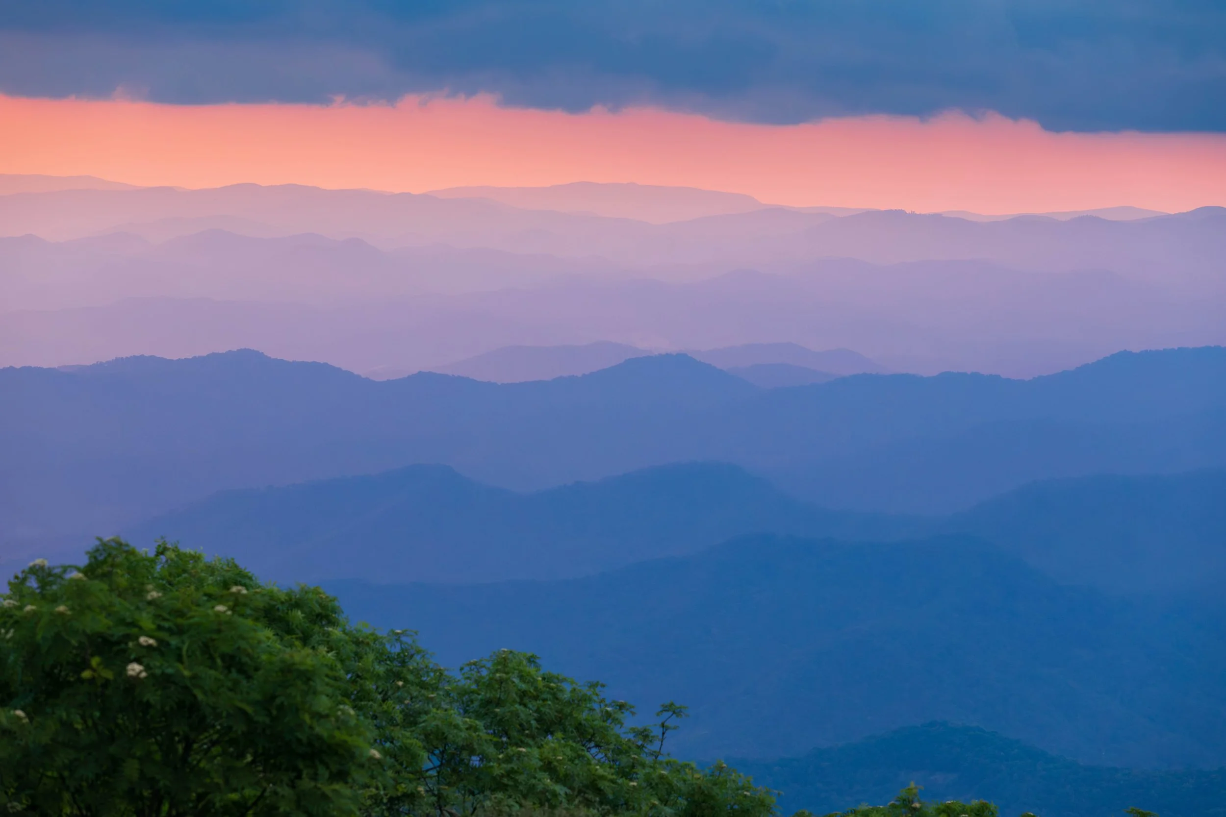 View from Craggy Mtn (1).jpg