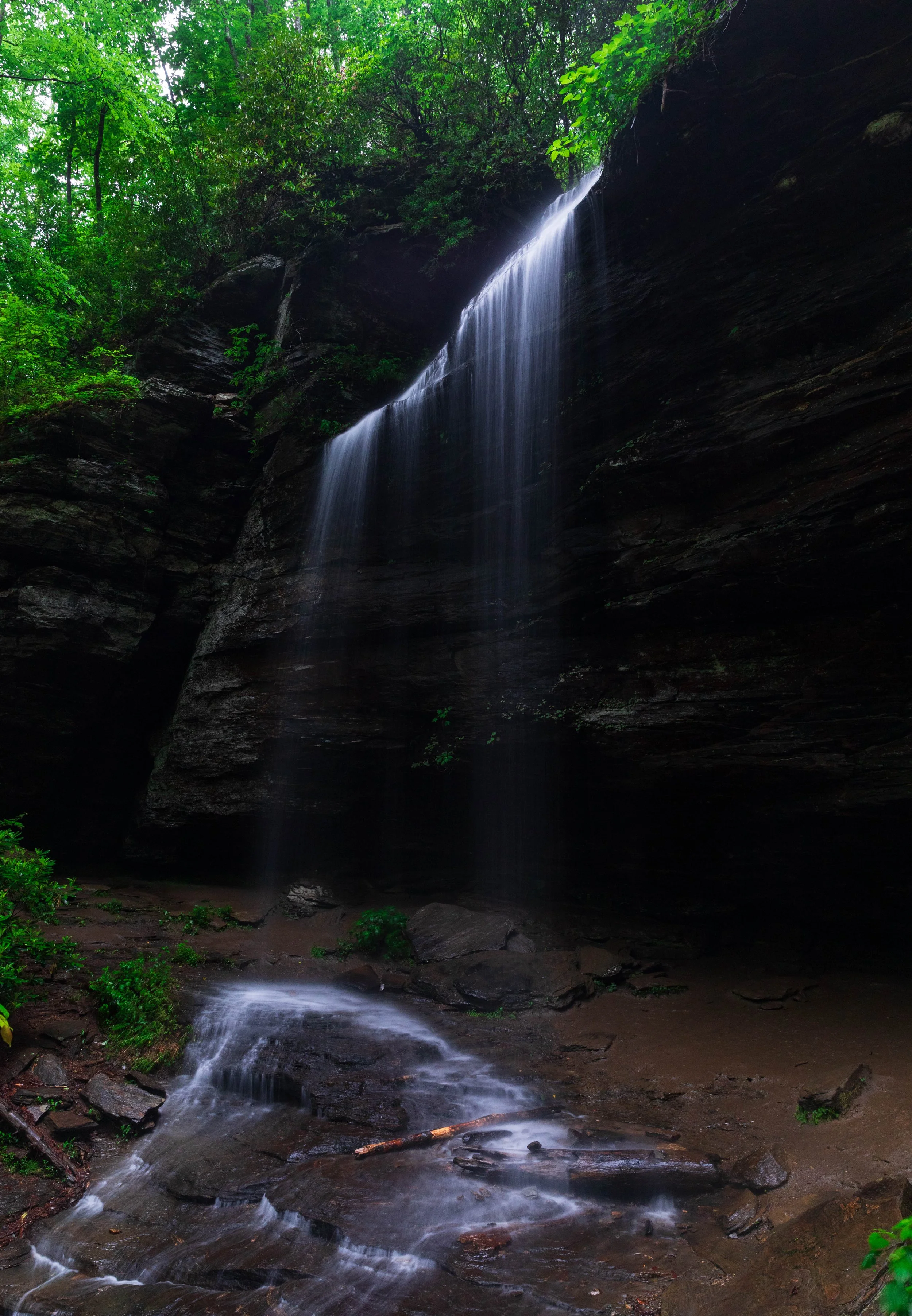 Moore Cove Falls 2026 (2).jpg