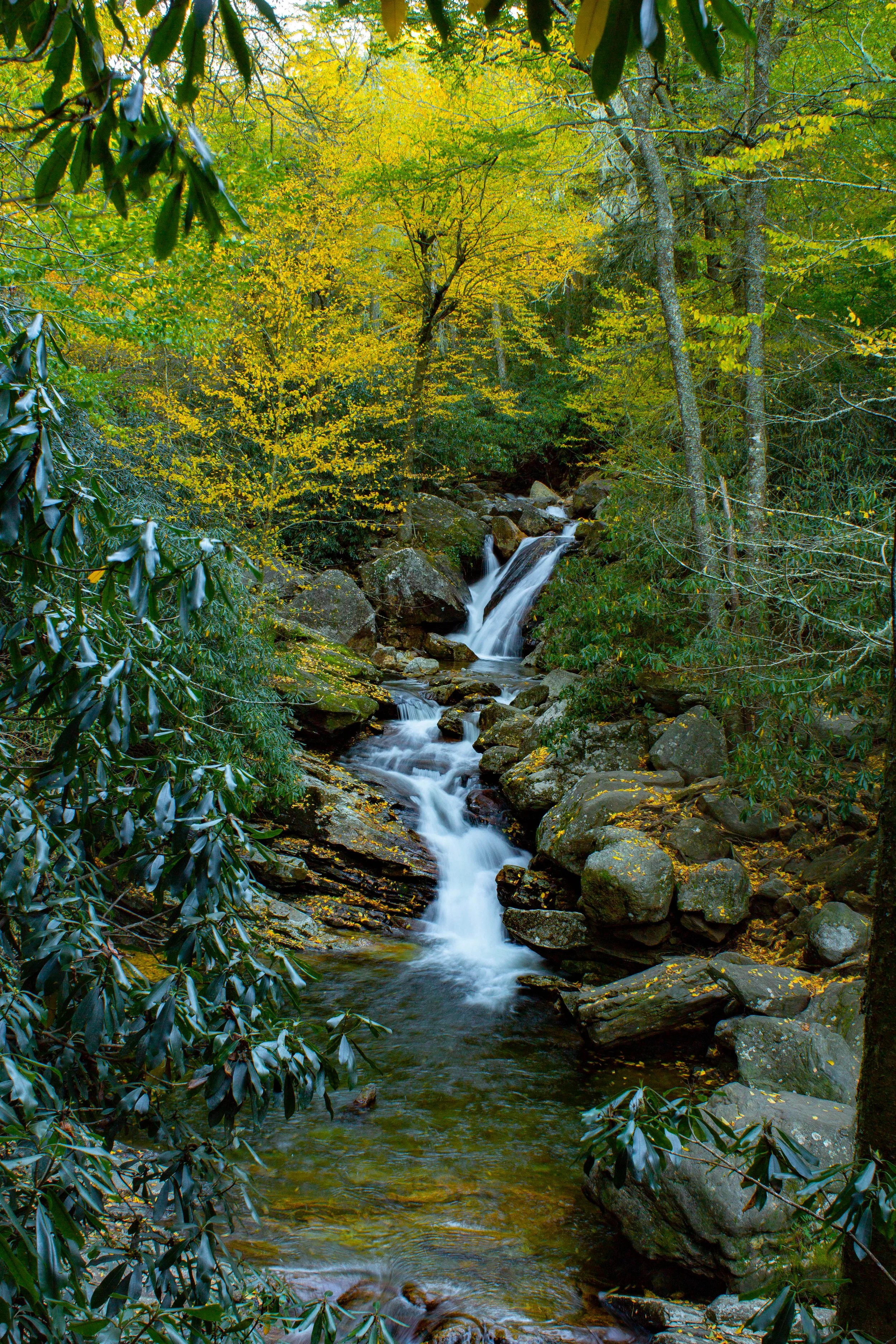 Skinny Dip Falls 2018.jpg