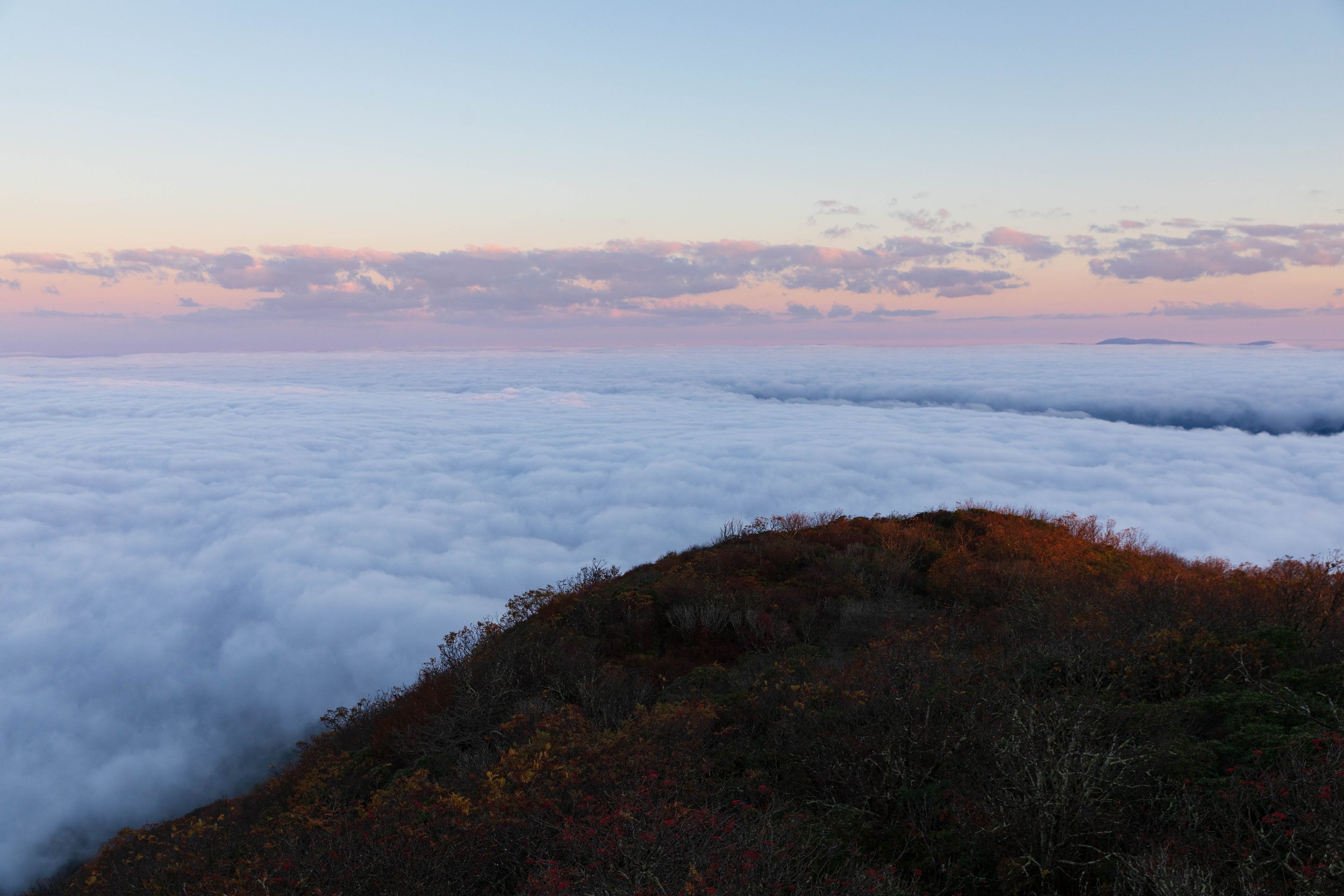 Foggy morning on Craggy Gradens (4).jpg