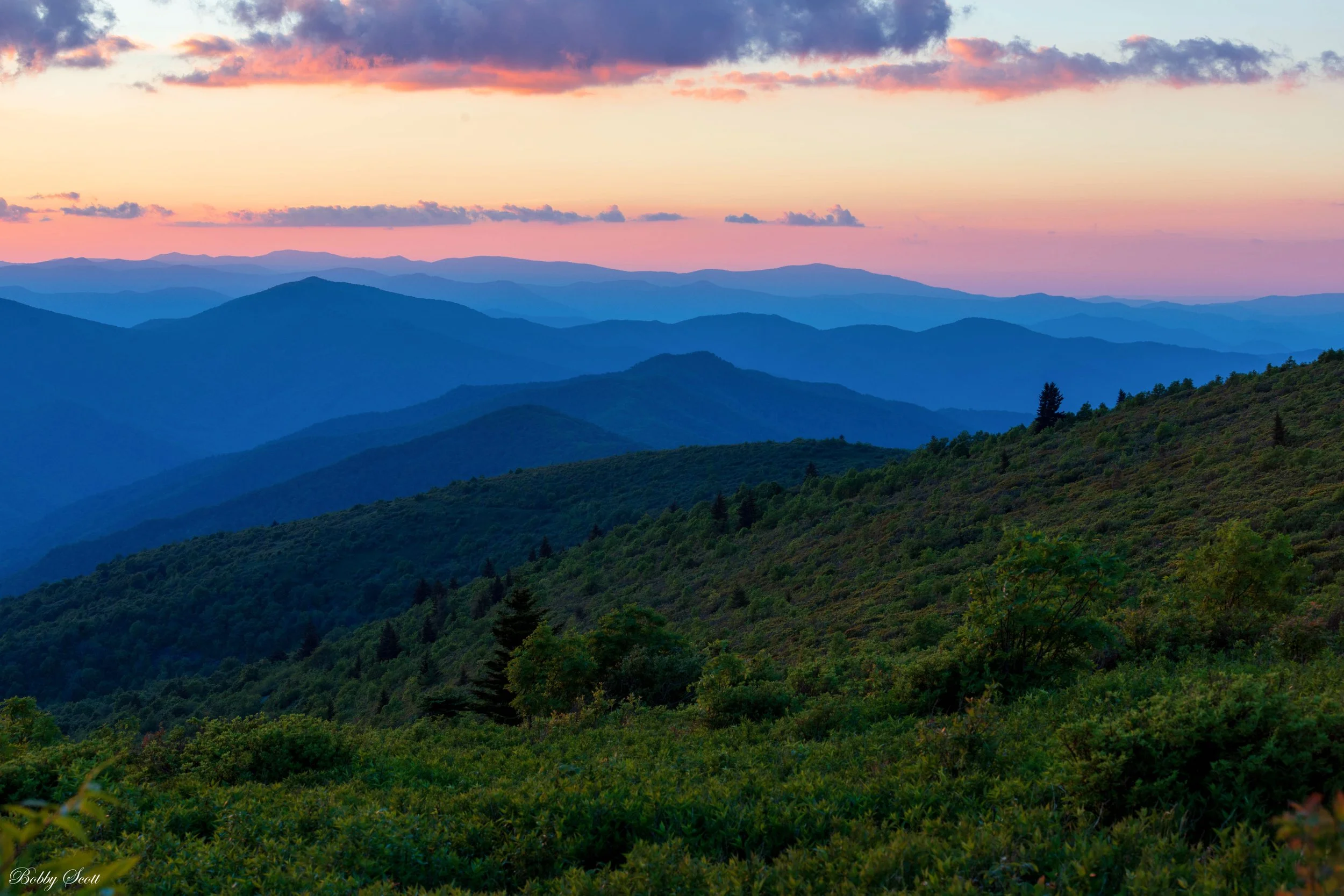 Top of Black Balsam (2).jpg