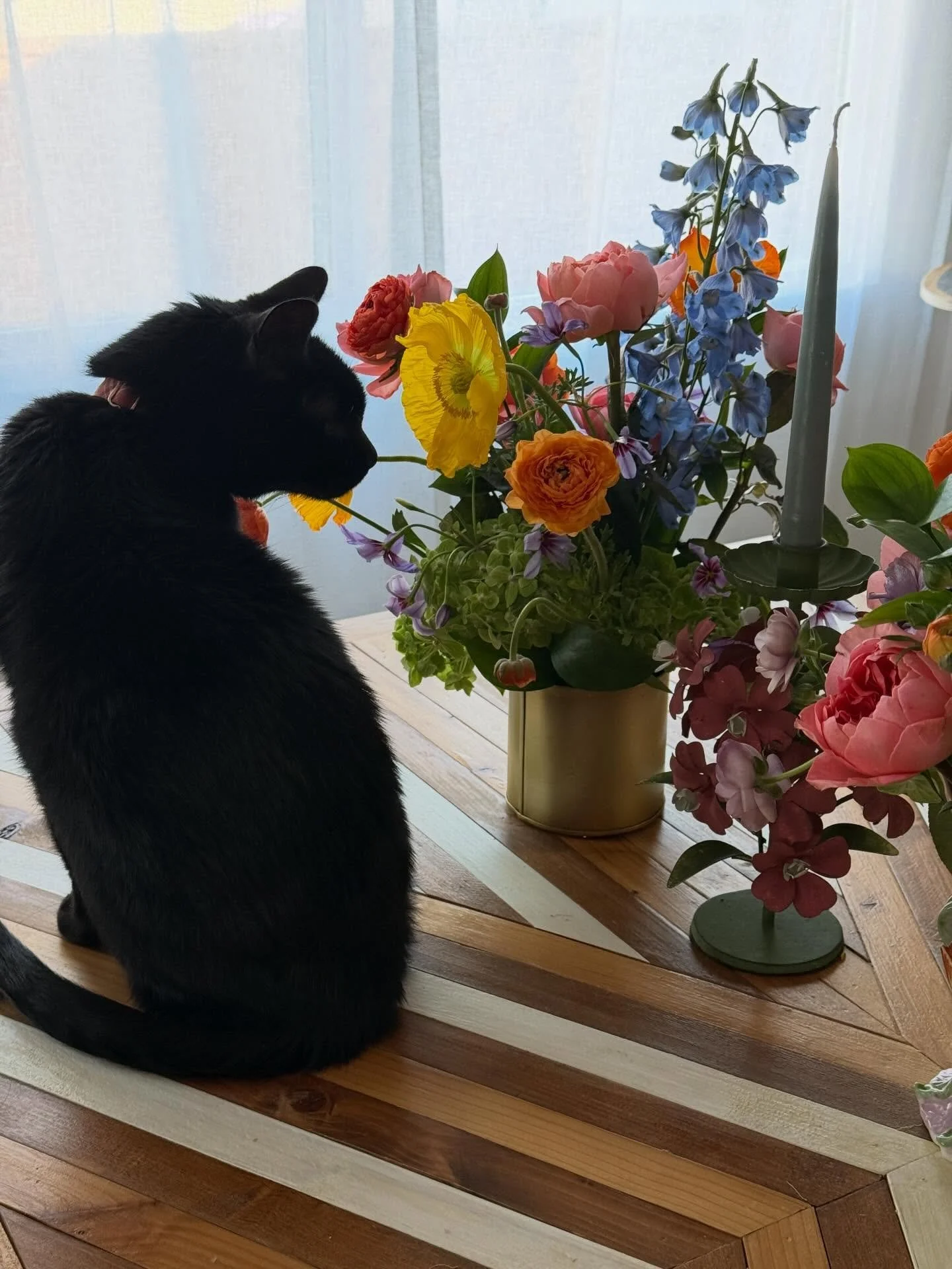 Still life with Louie. 

A few leftovers for my table. 

Spring. 

And a Monday. 

Things feel heavy but there&rsquo;s beauty.