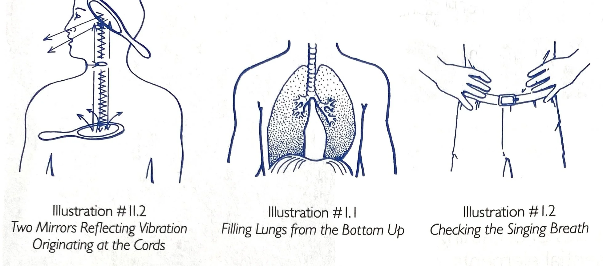 Secrets Of Singing By Jeffrey Allen Female (Low And High Voice