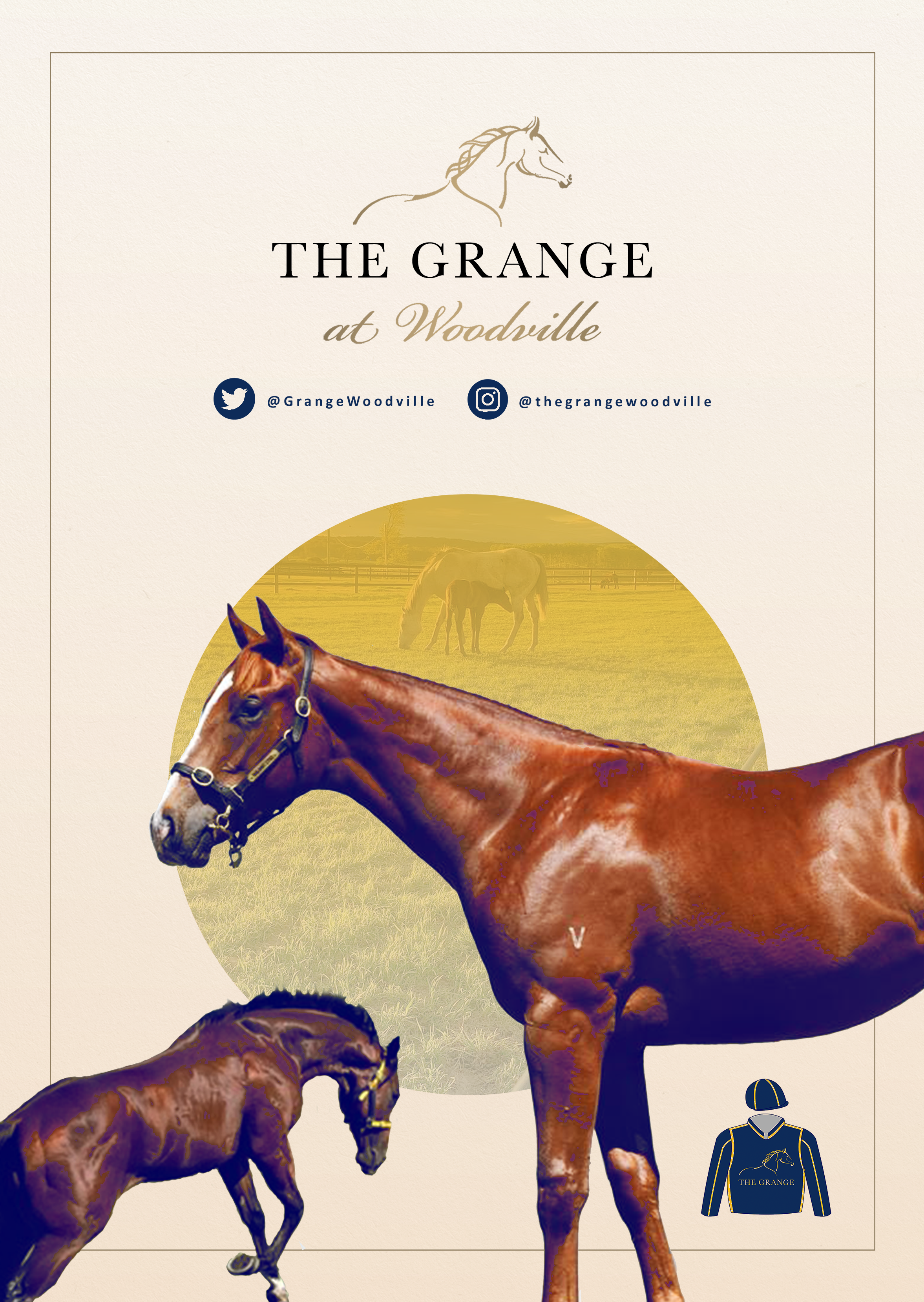 The Grange at Woodville - compressed poster.png