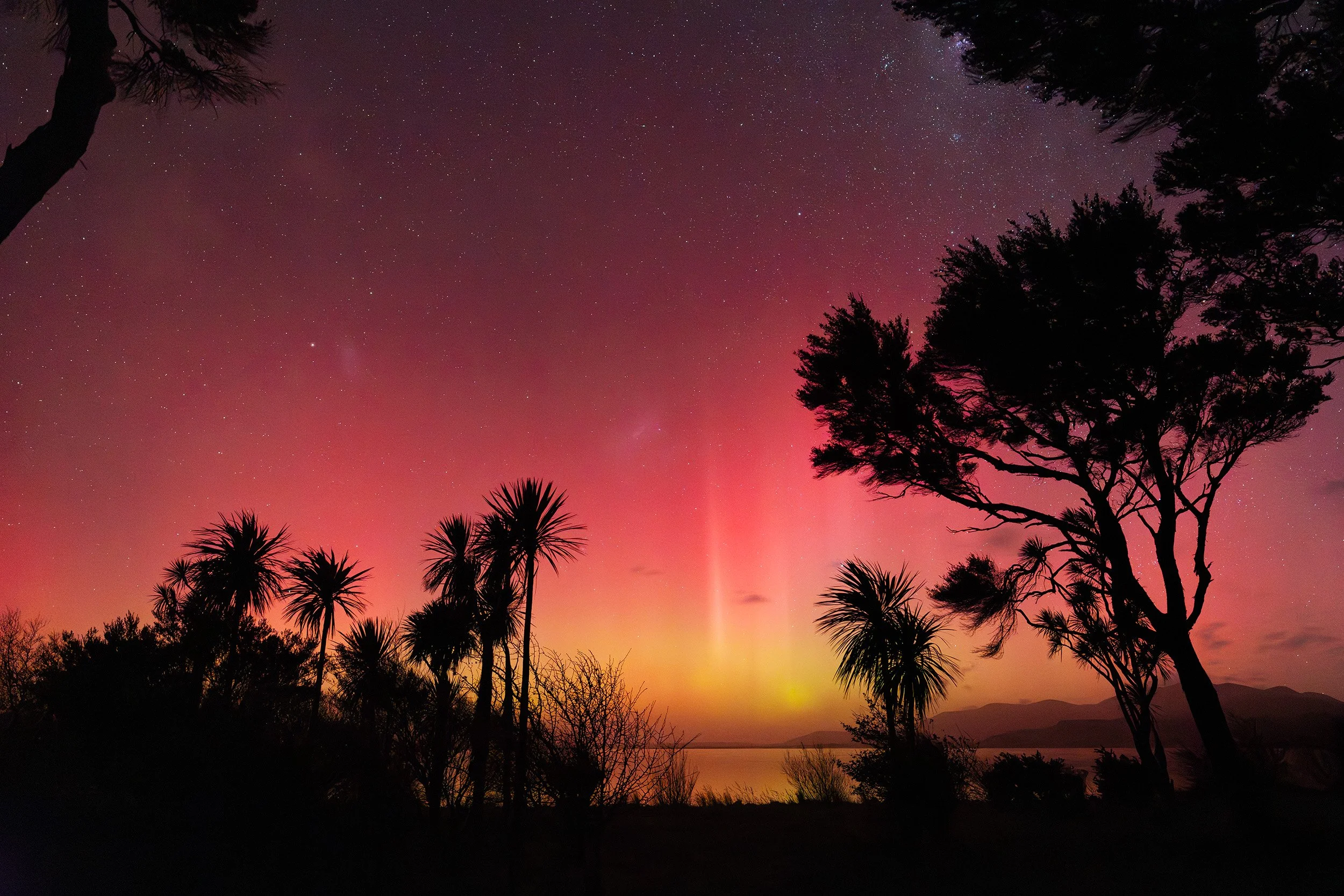 My Year in Photos - 2025