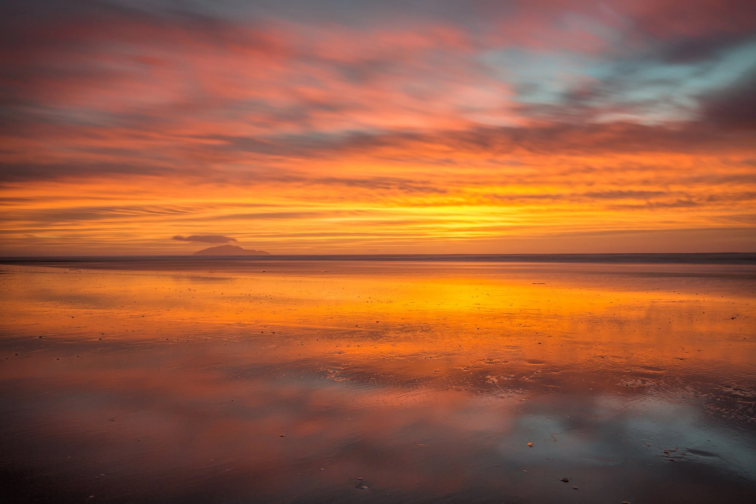 Kapiti_04.jpg
