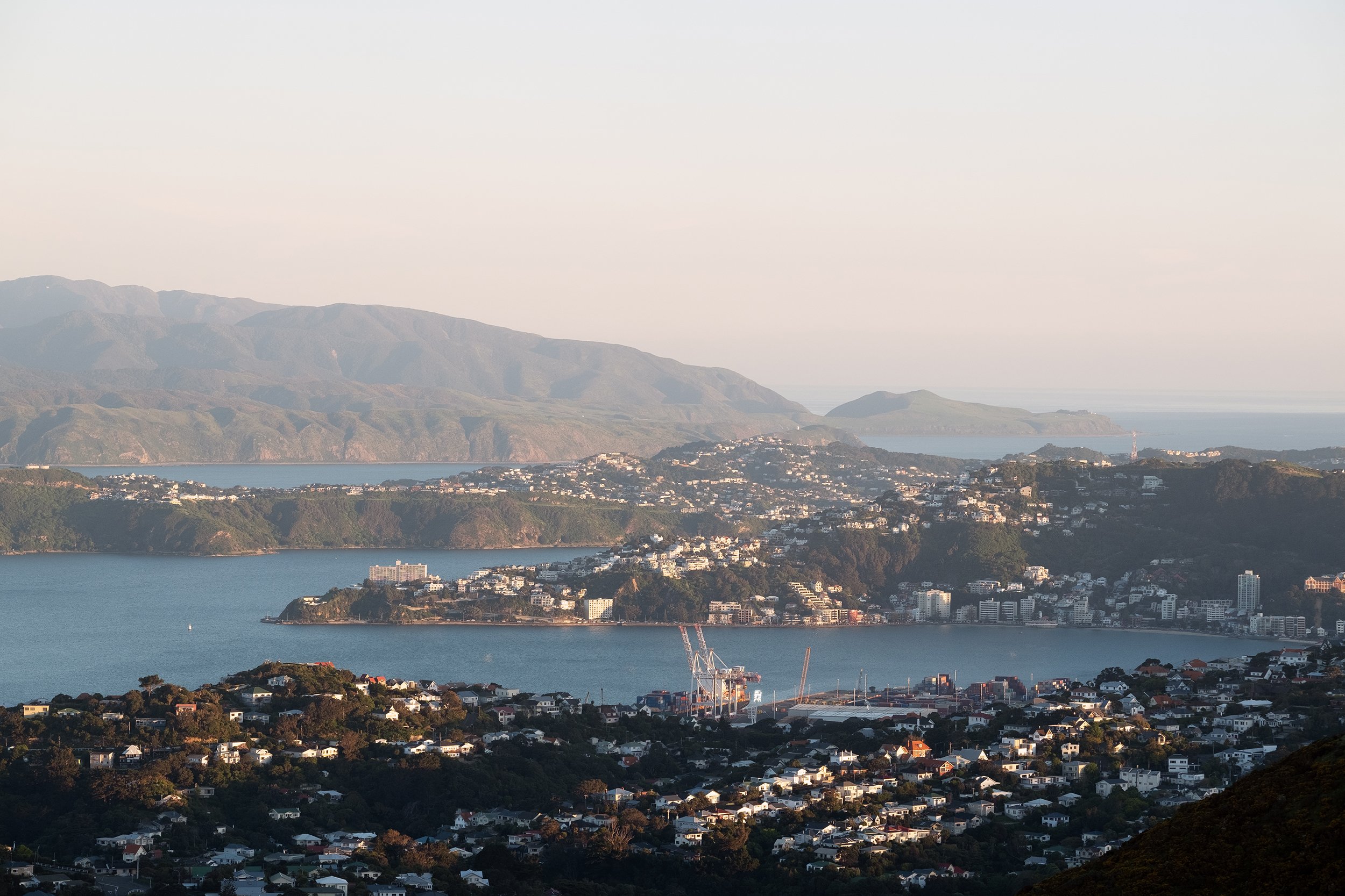 Wellington_01.jpg