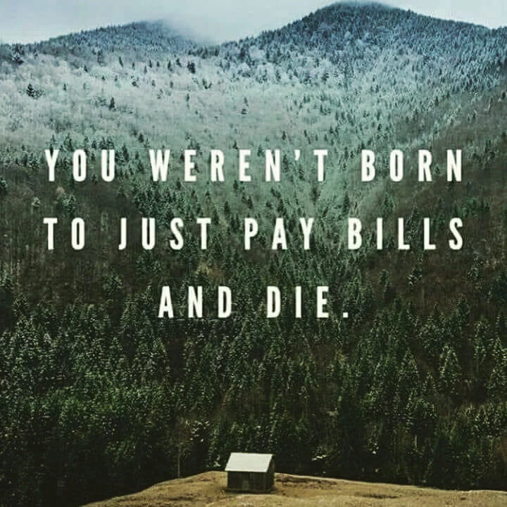 I Dare You to Try Wild &amp; Free