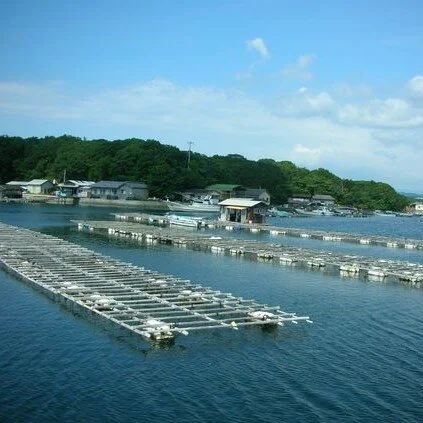 Pearl Farm.jpg