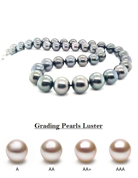 Tahitian Pearl.jpeg